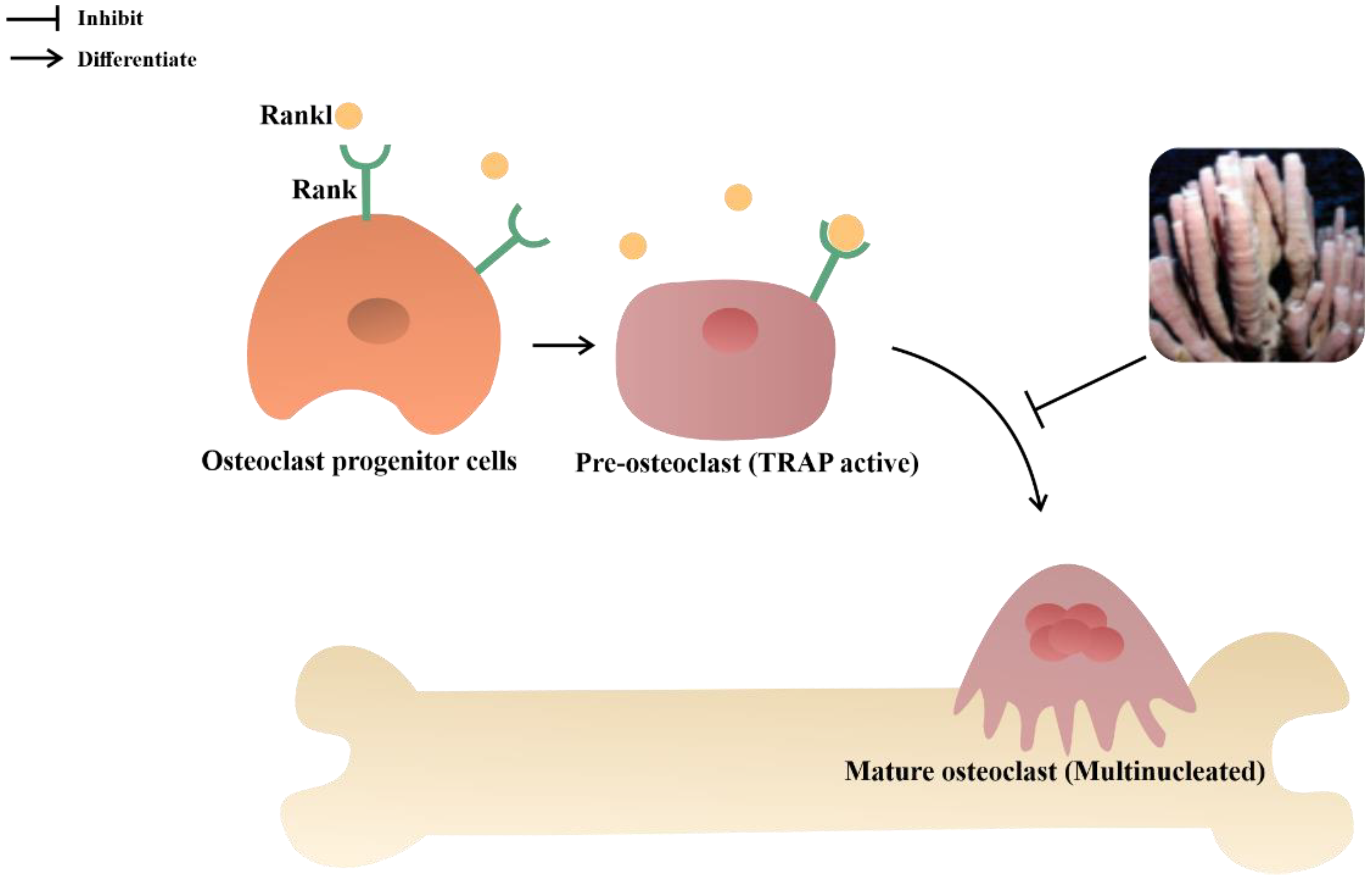 Metabolites 13 00217 g012