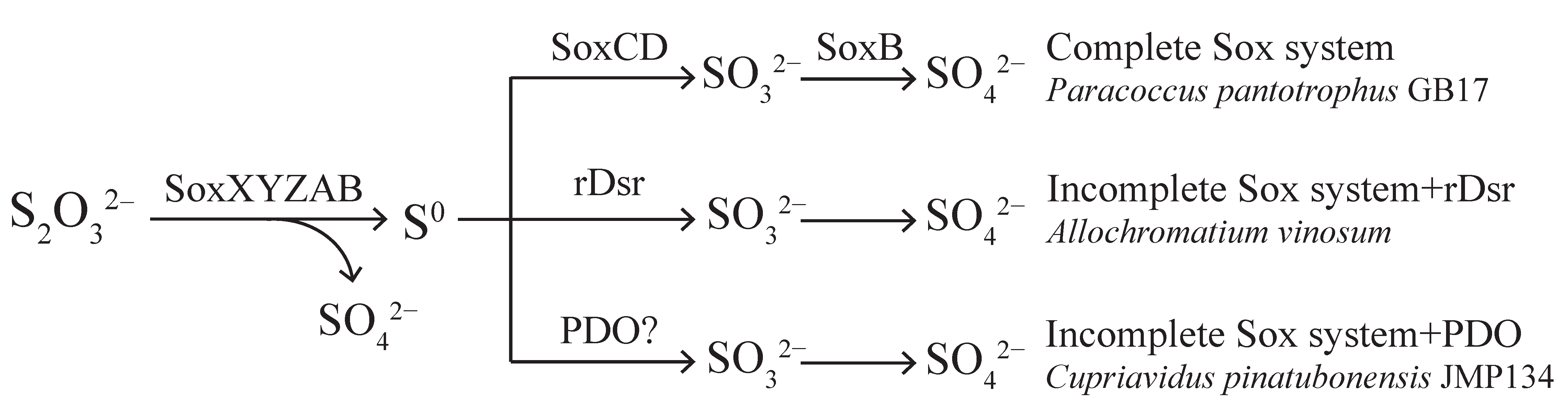 Metabolites 13 00218 g001