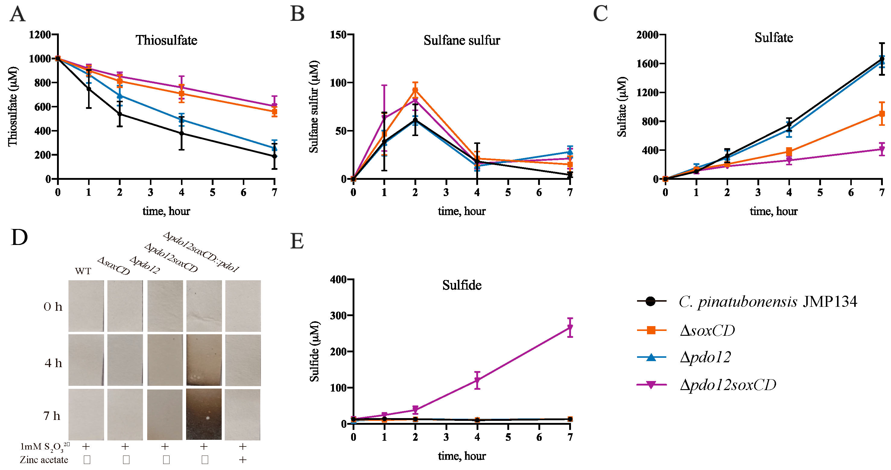 Metabolites 13 00218 g002
