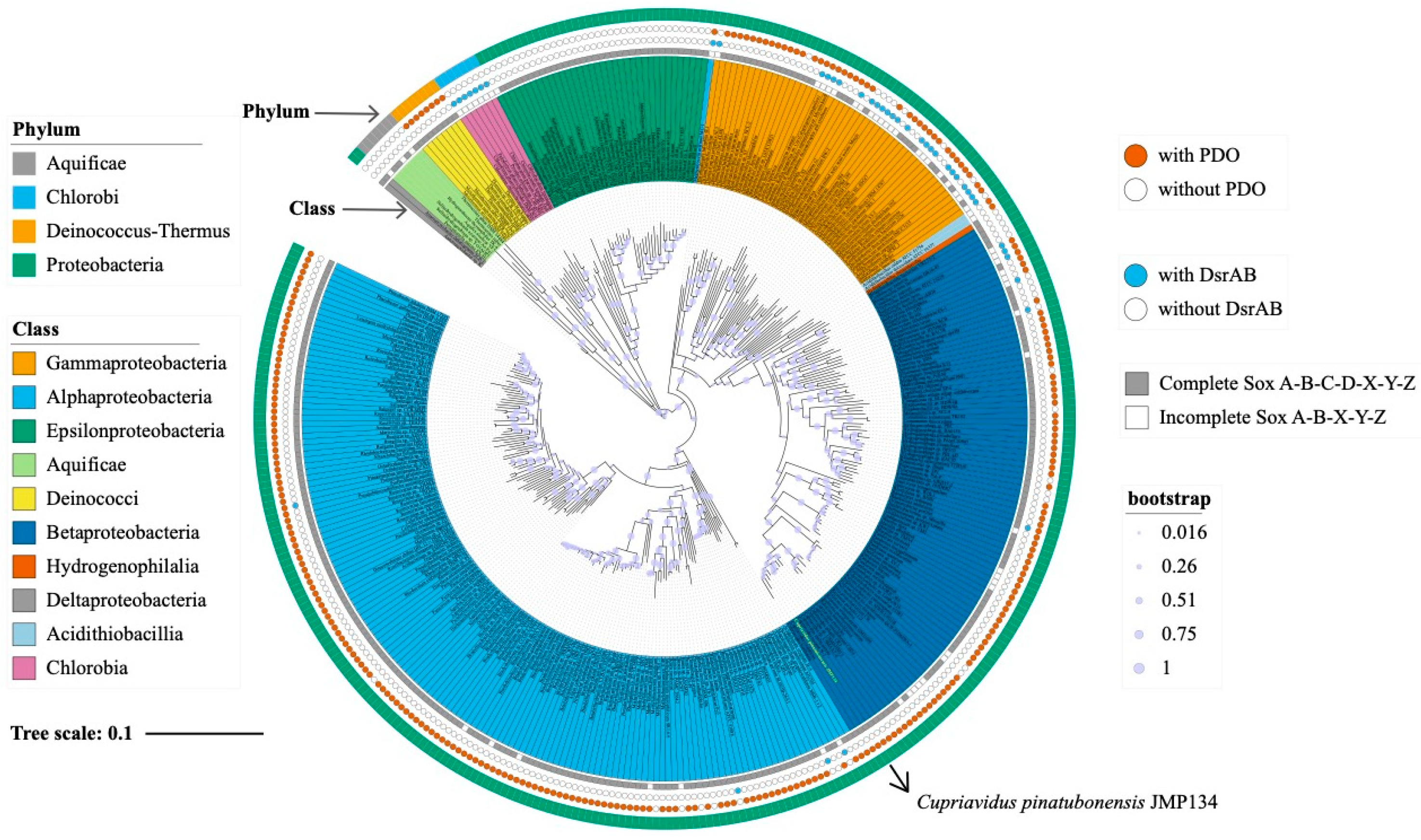 Metabolites 13 00218 g006
