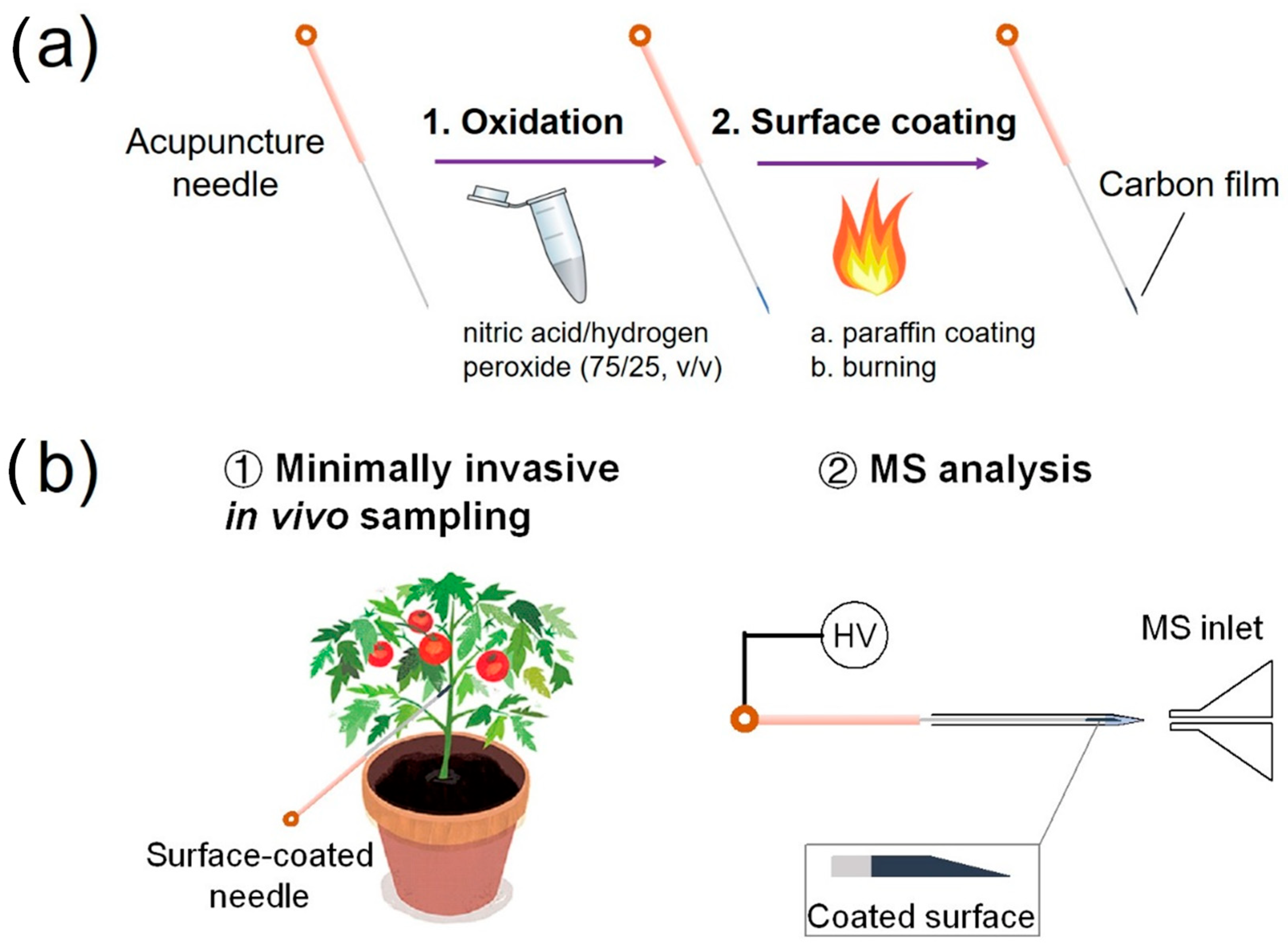 Metabolites 13 00220 g001