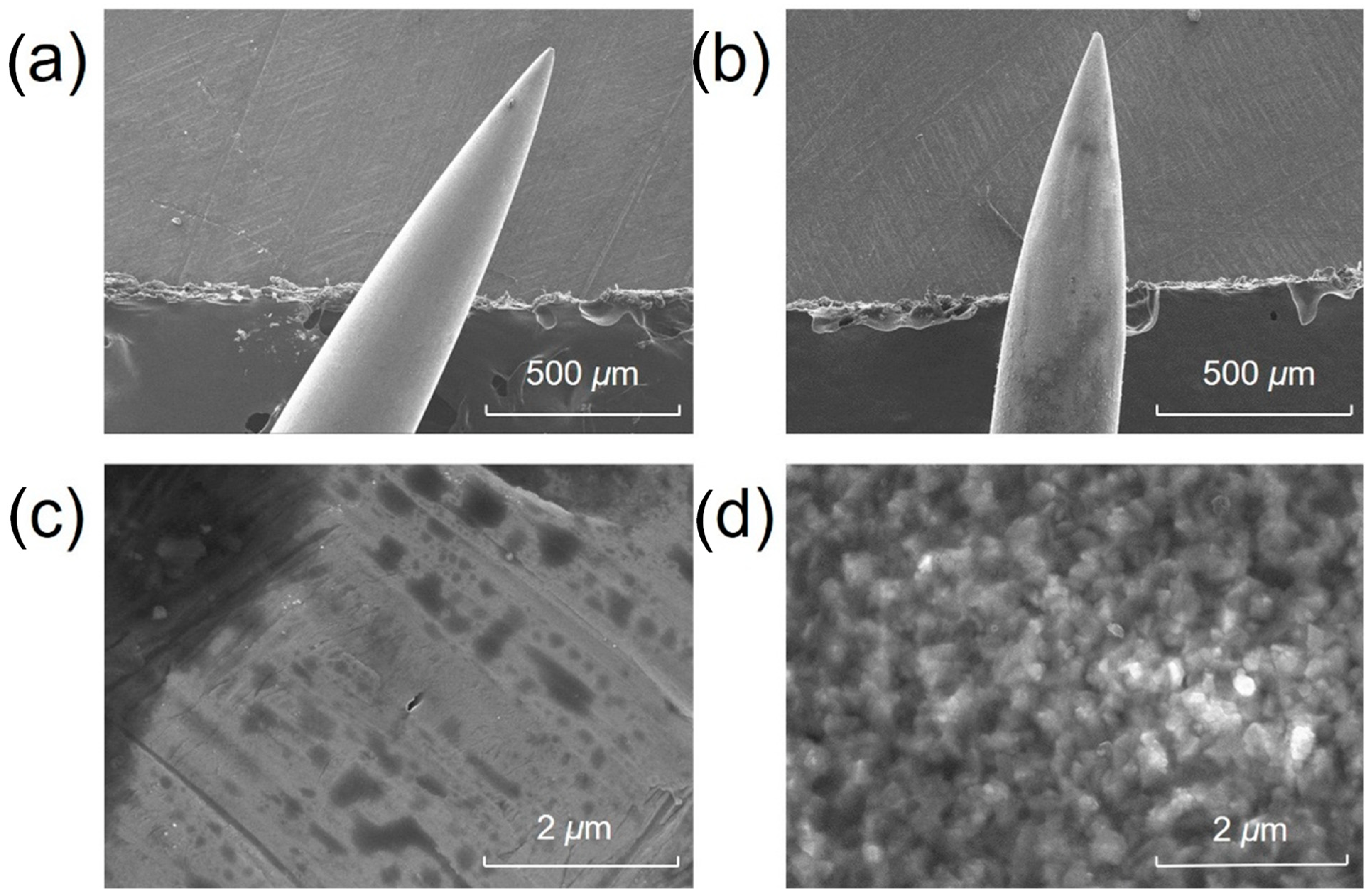 Metabolites 13 00220 g002