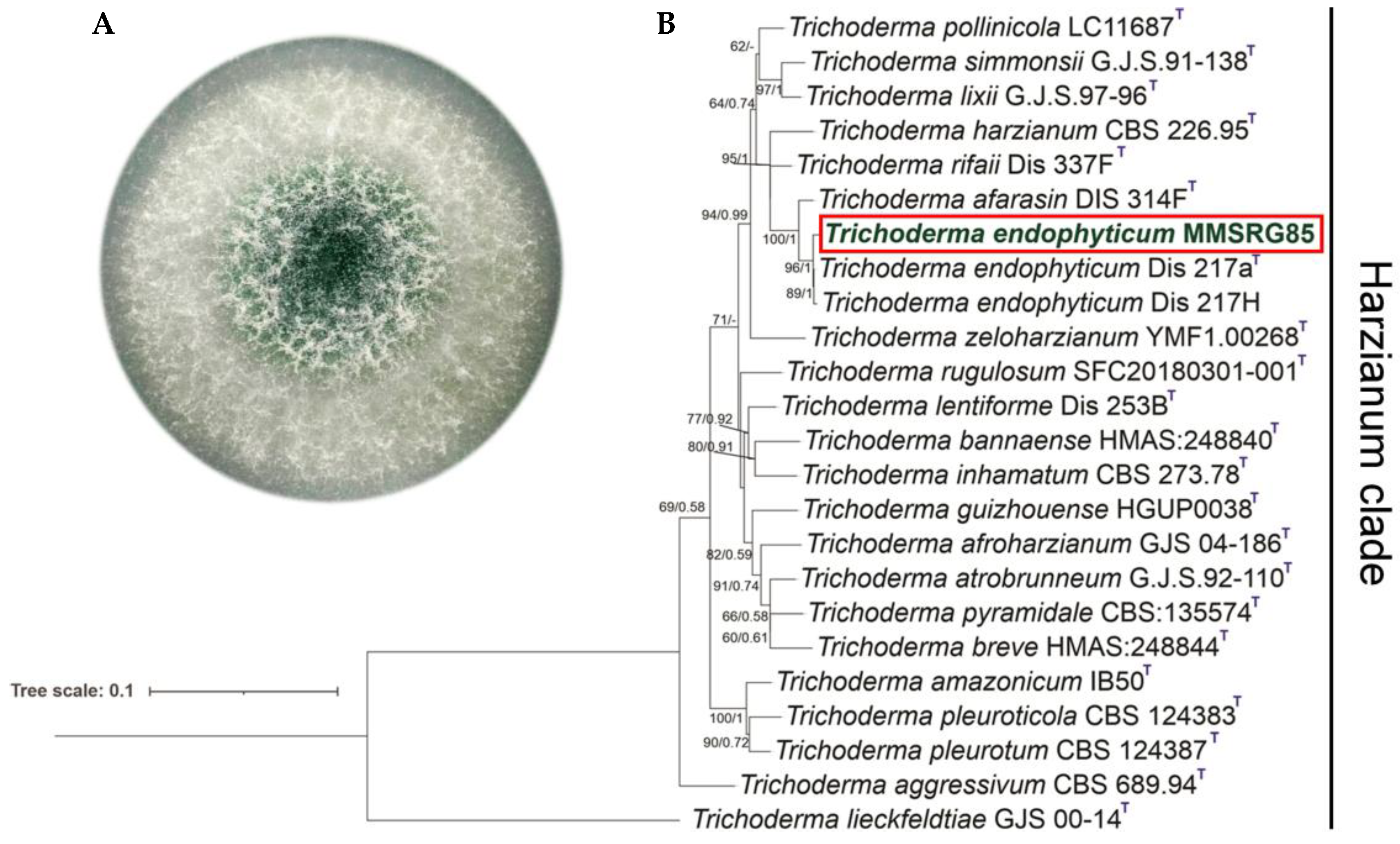 Metabolites 13 00221 g001 Metabolites 13 00221 g001