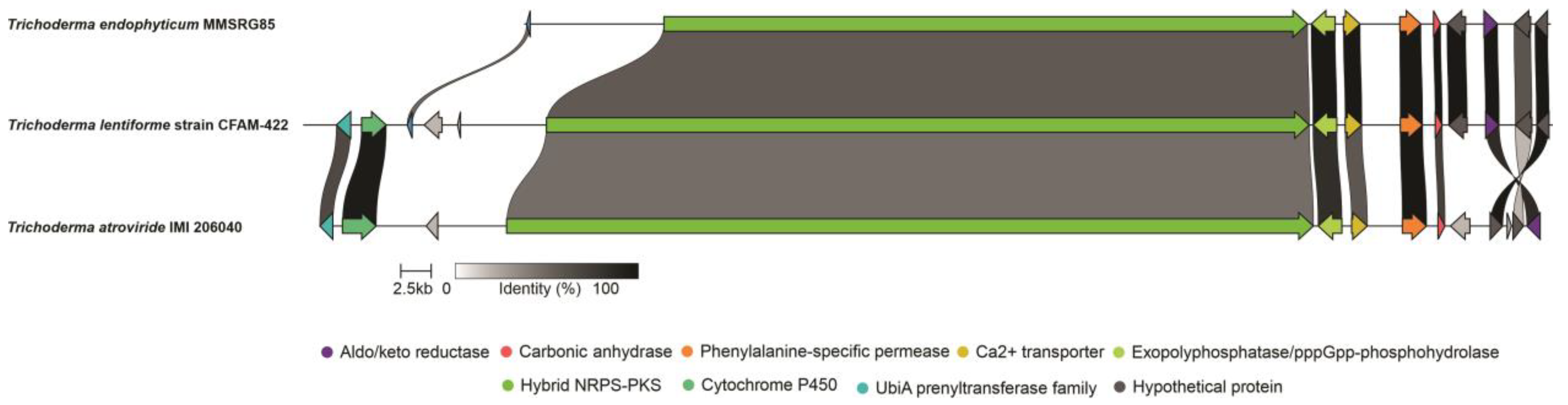 Metabolites 13 00221 g003 Metabolites 13 00221 g003
