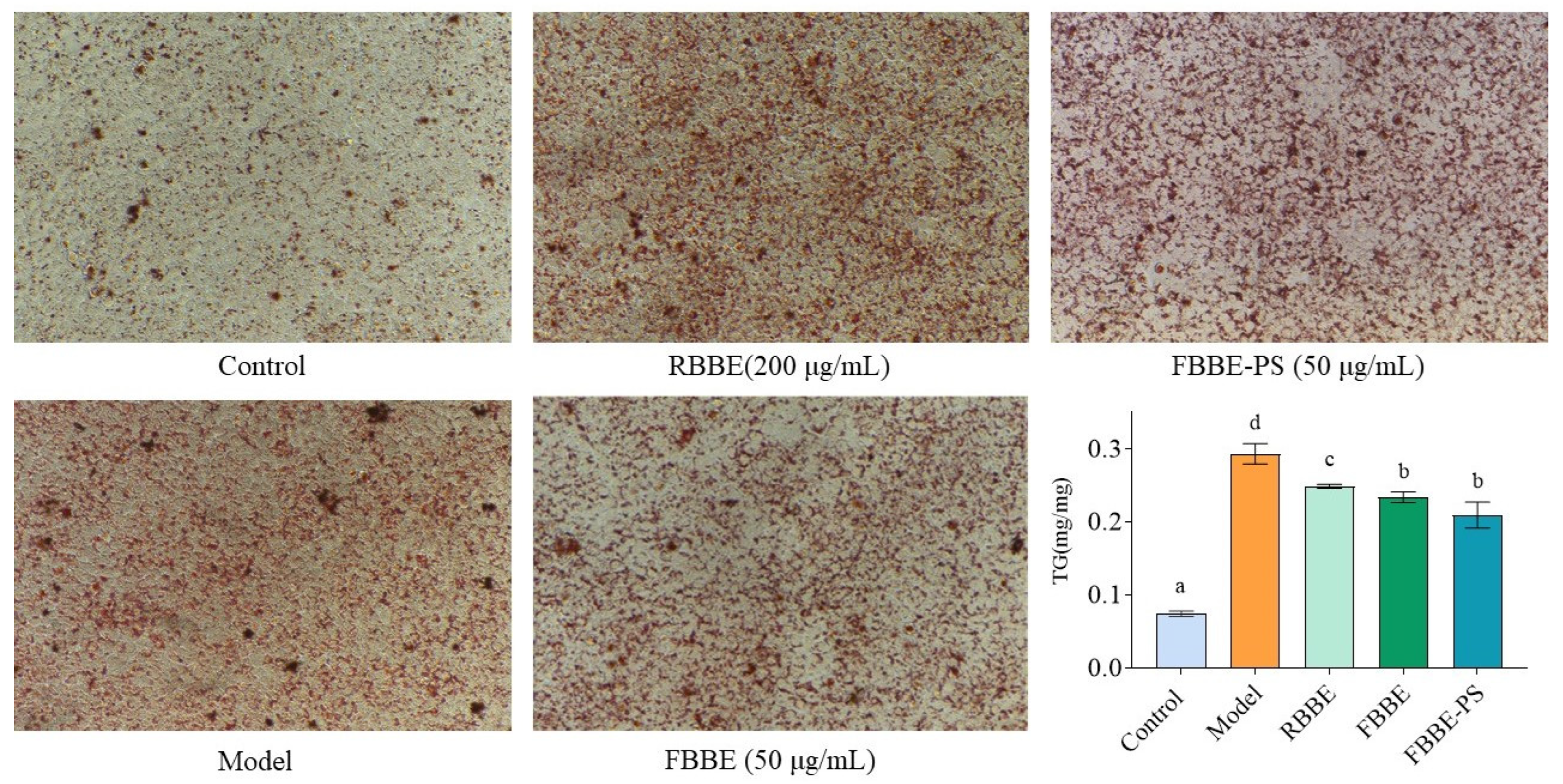 Metabolites 13 00223 g002 Metabolites 13 00223 g002