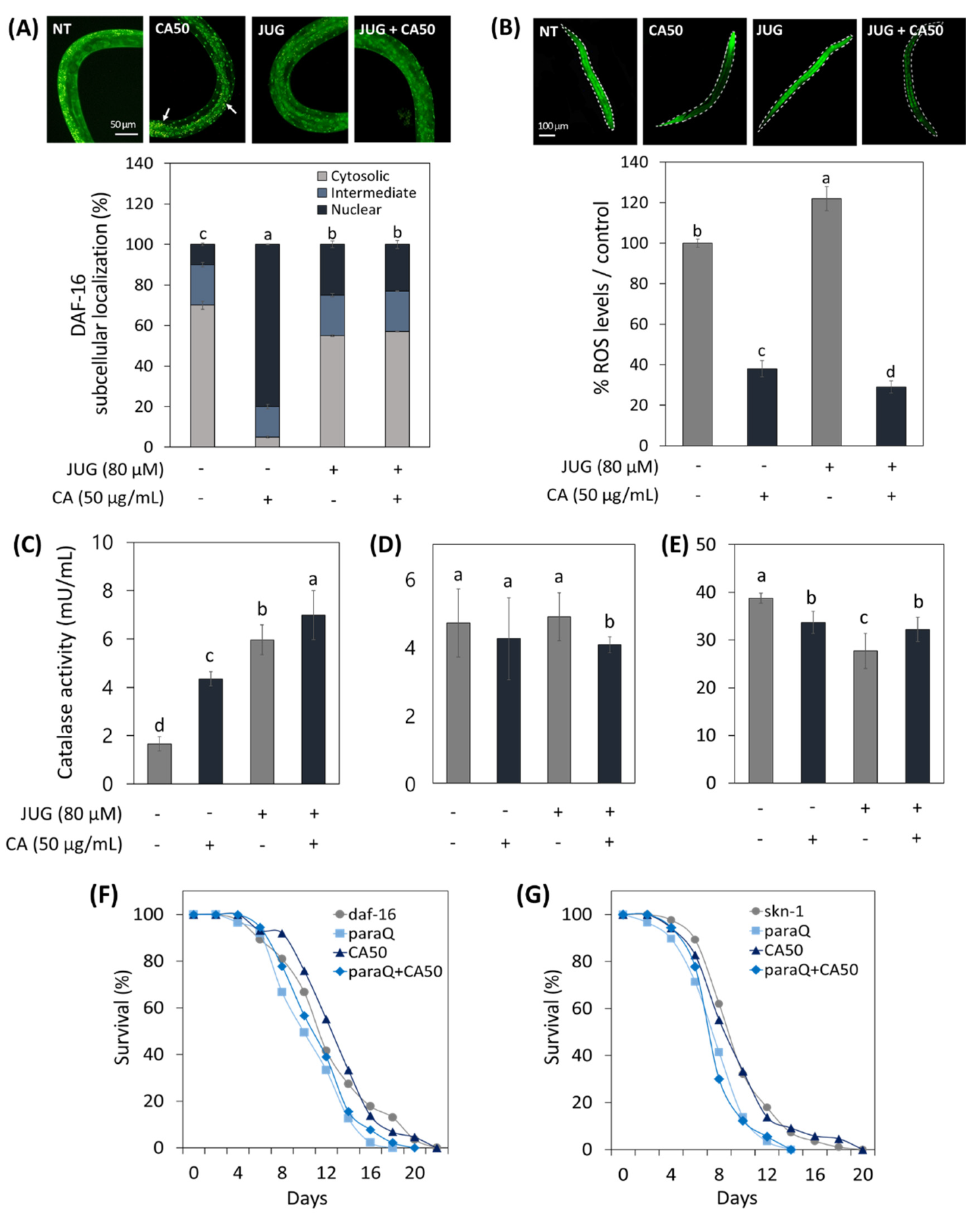 Metabolites 13 00224 g005