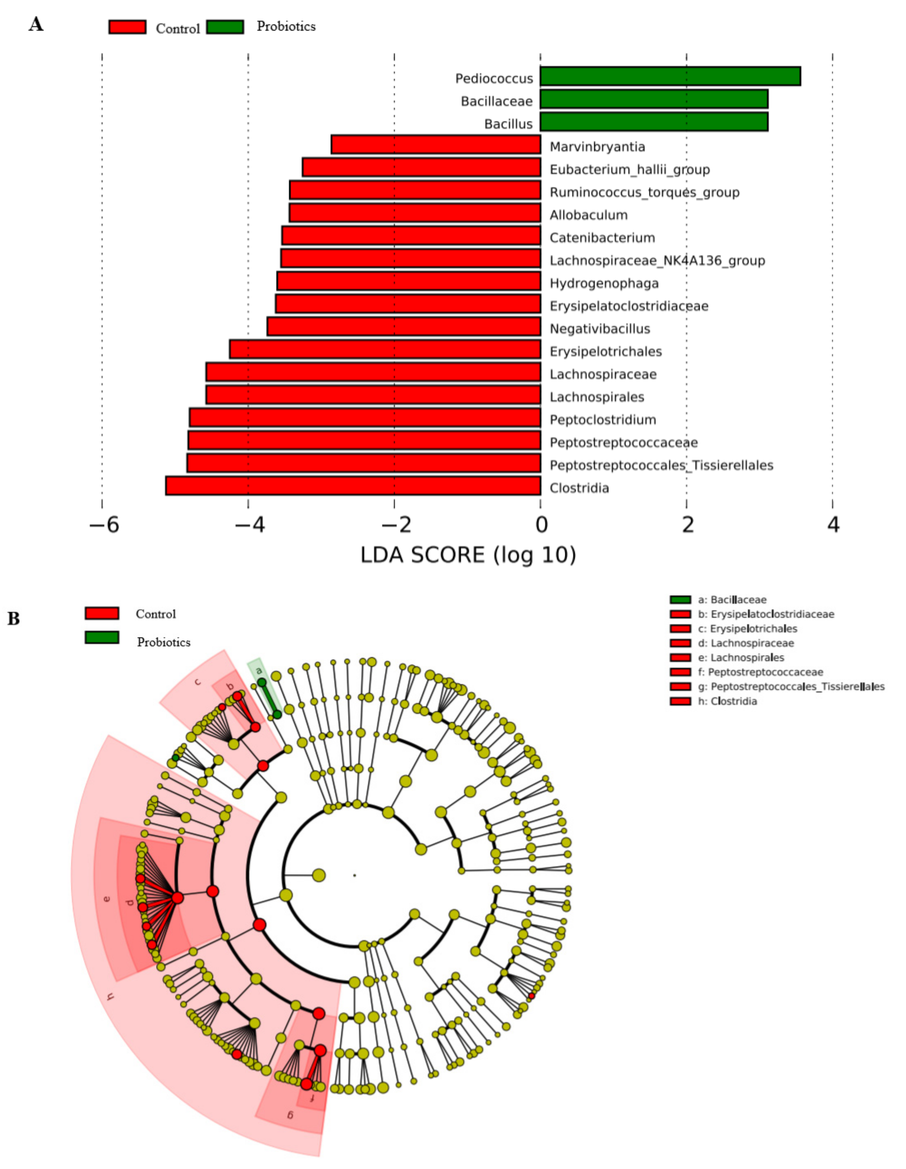 Metabolites 13 00228 g005