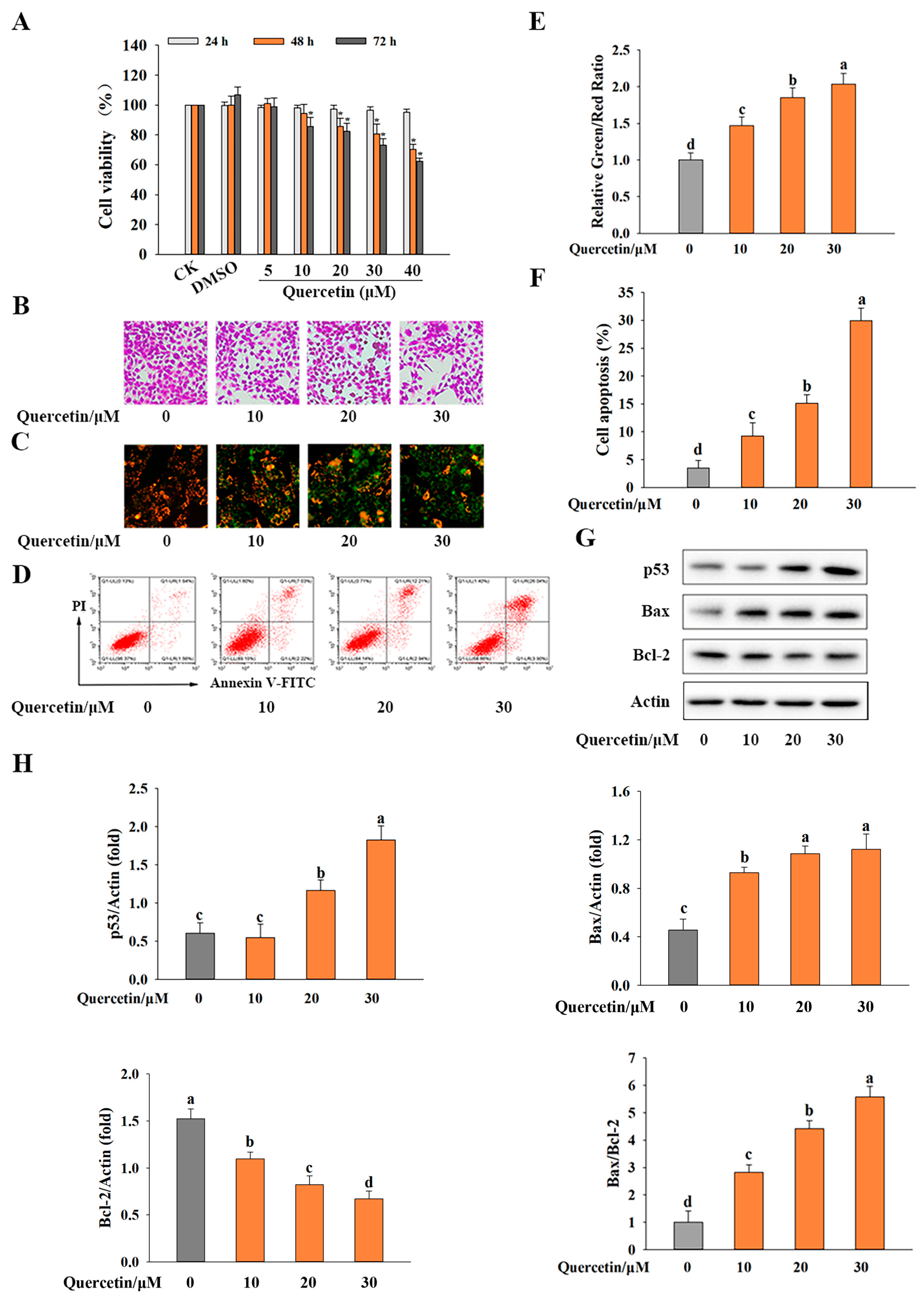 Metabolites 13 00229 g001