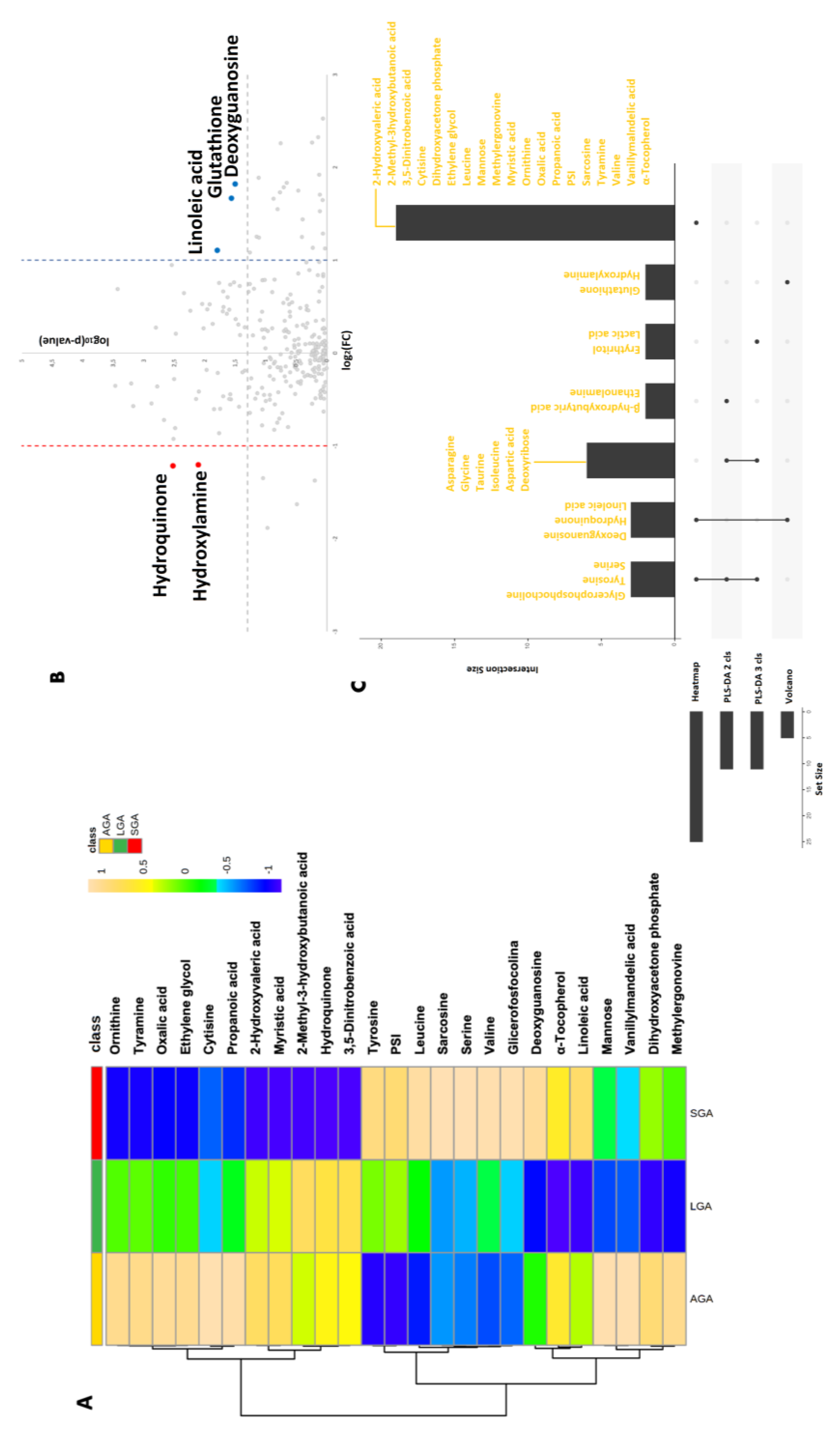 Metabolites 13 00235 g002