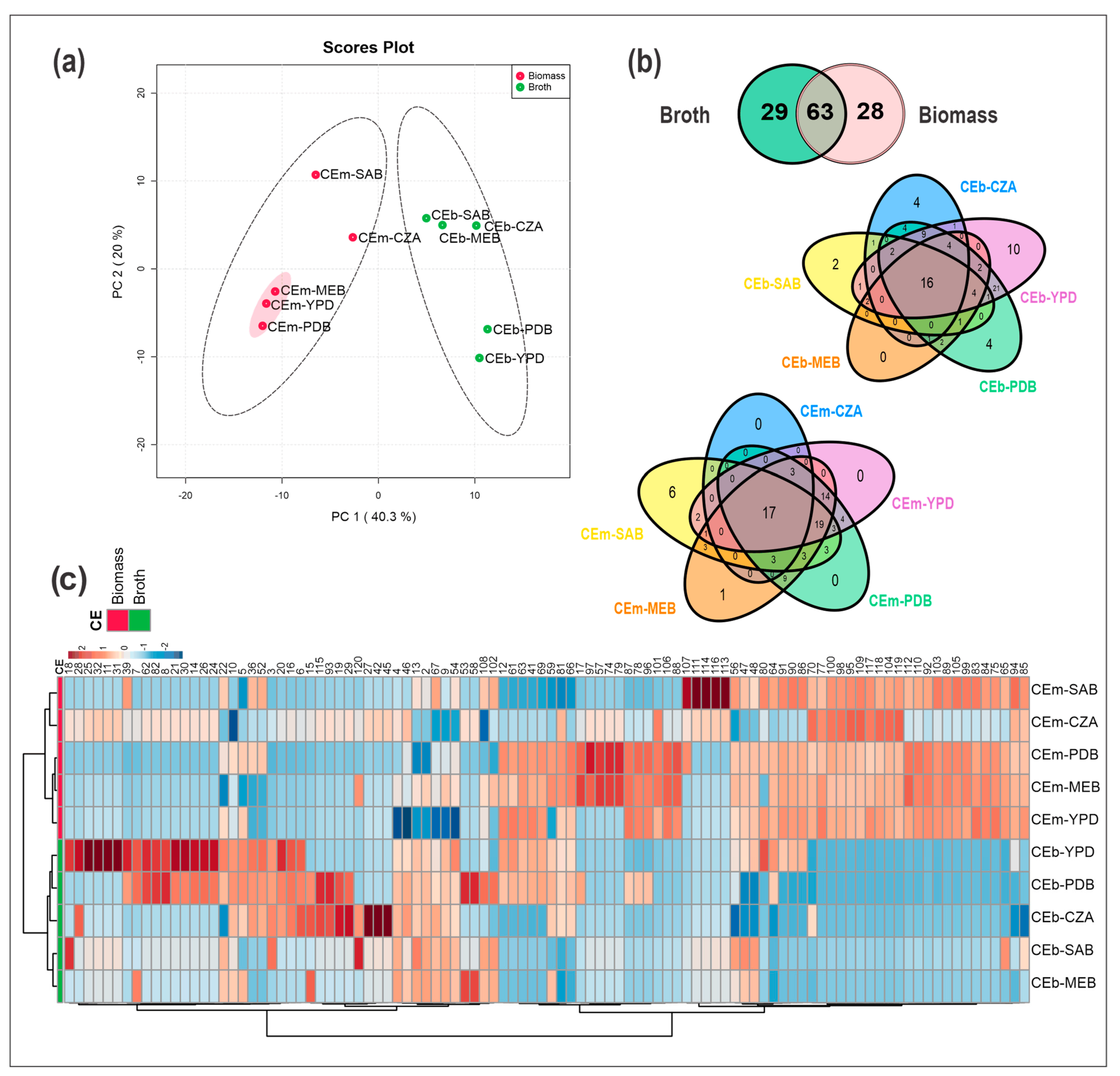 Metabolites 13 00236 g001 Metabolites 13 00236 g001
