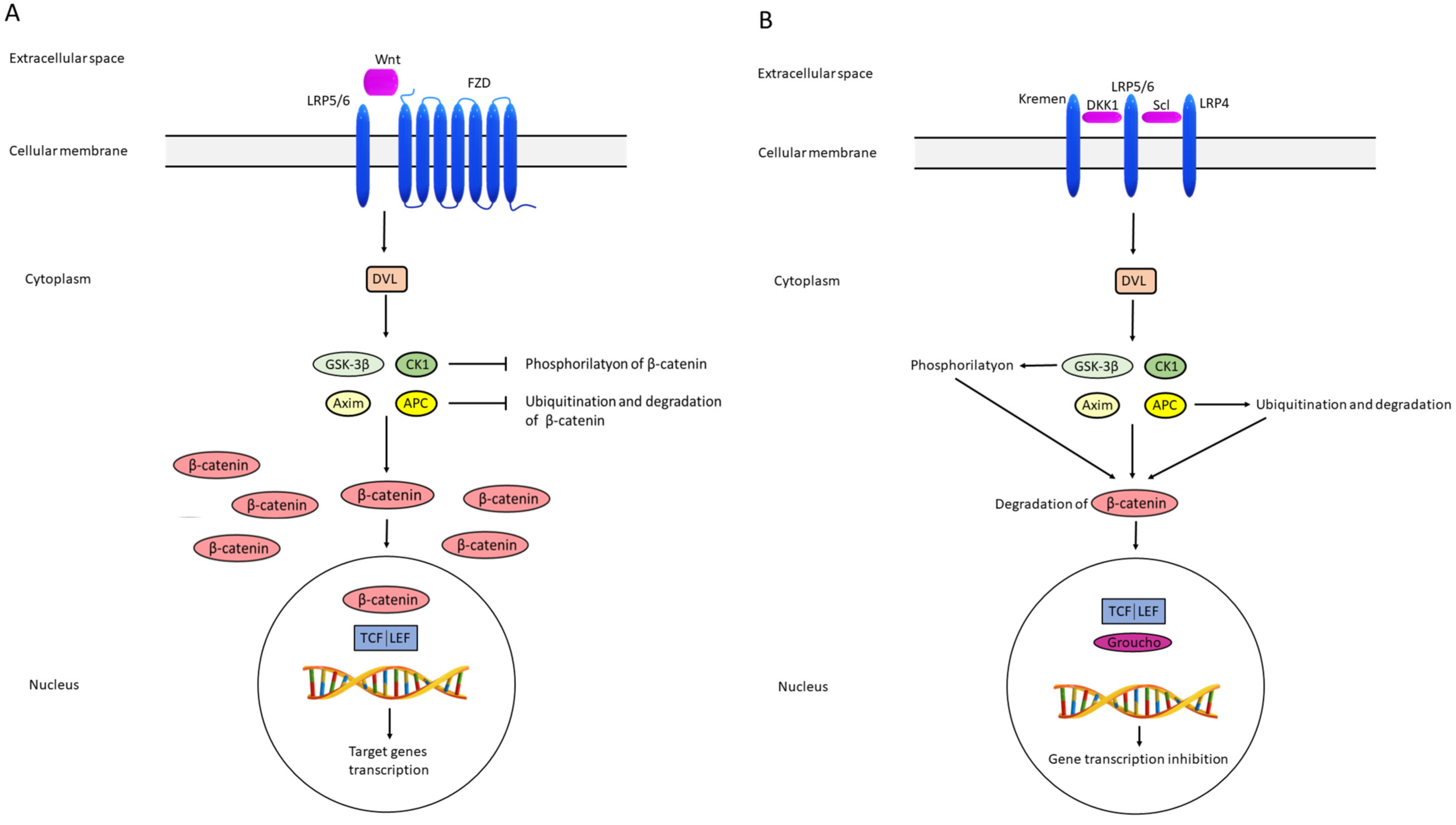 Metabolites 13 00241 g002