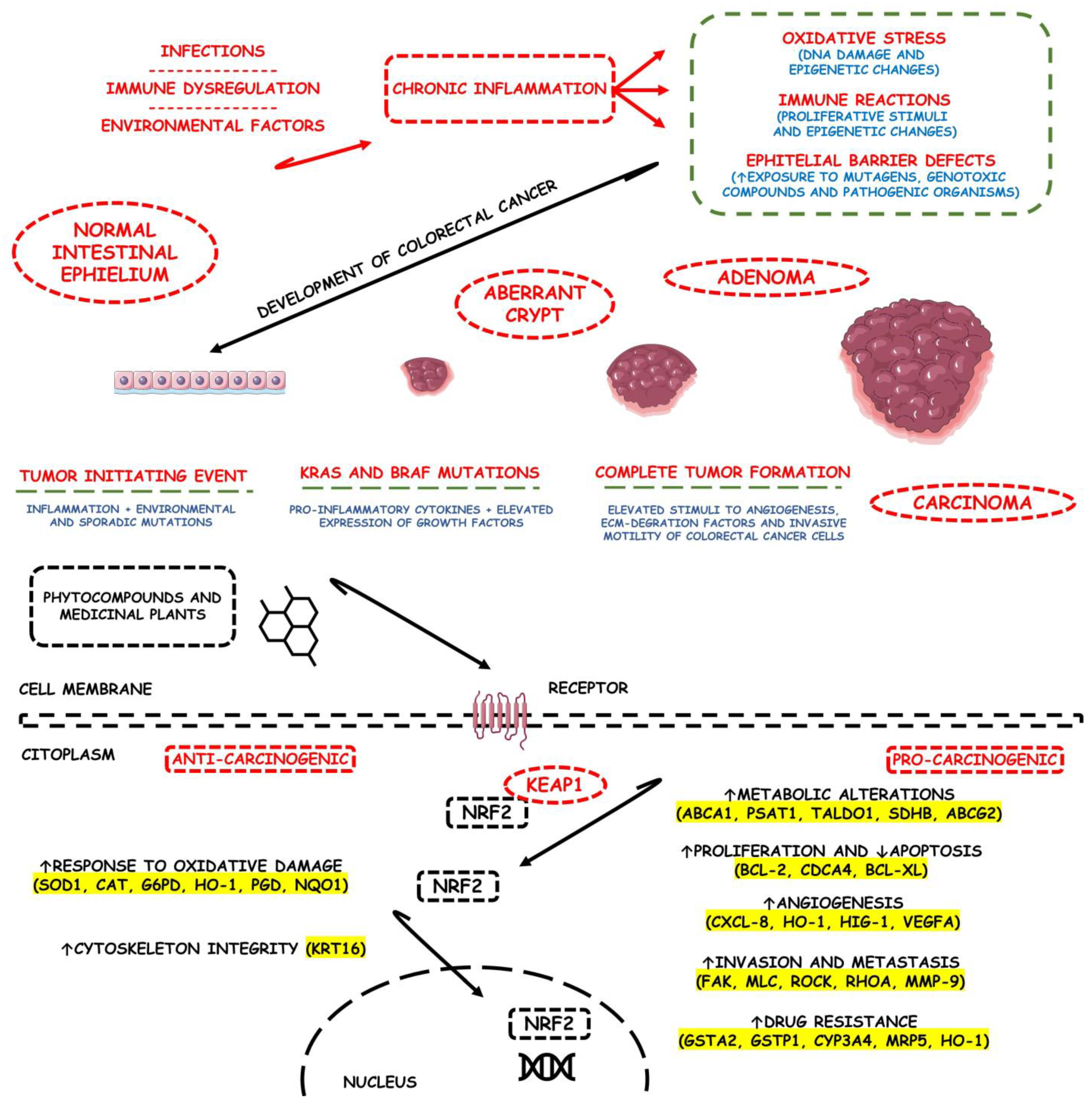 Metabolites 13 00243 g003