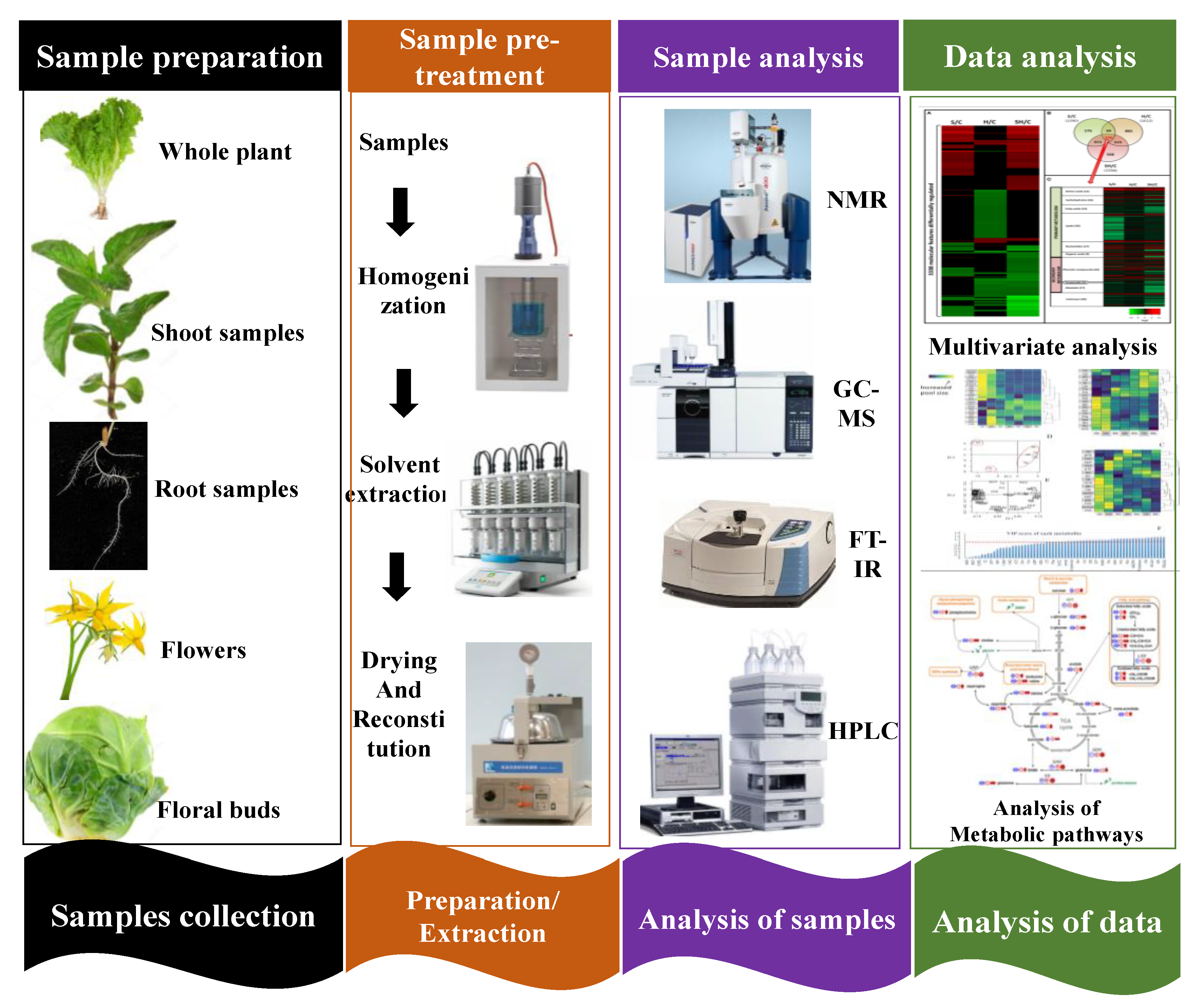 Metabolites 13 00246 g002 Metabolites 13 00246 g002