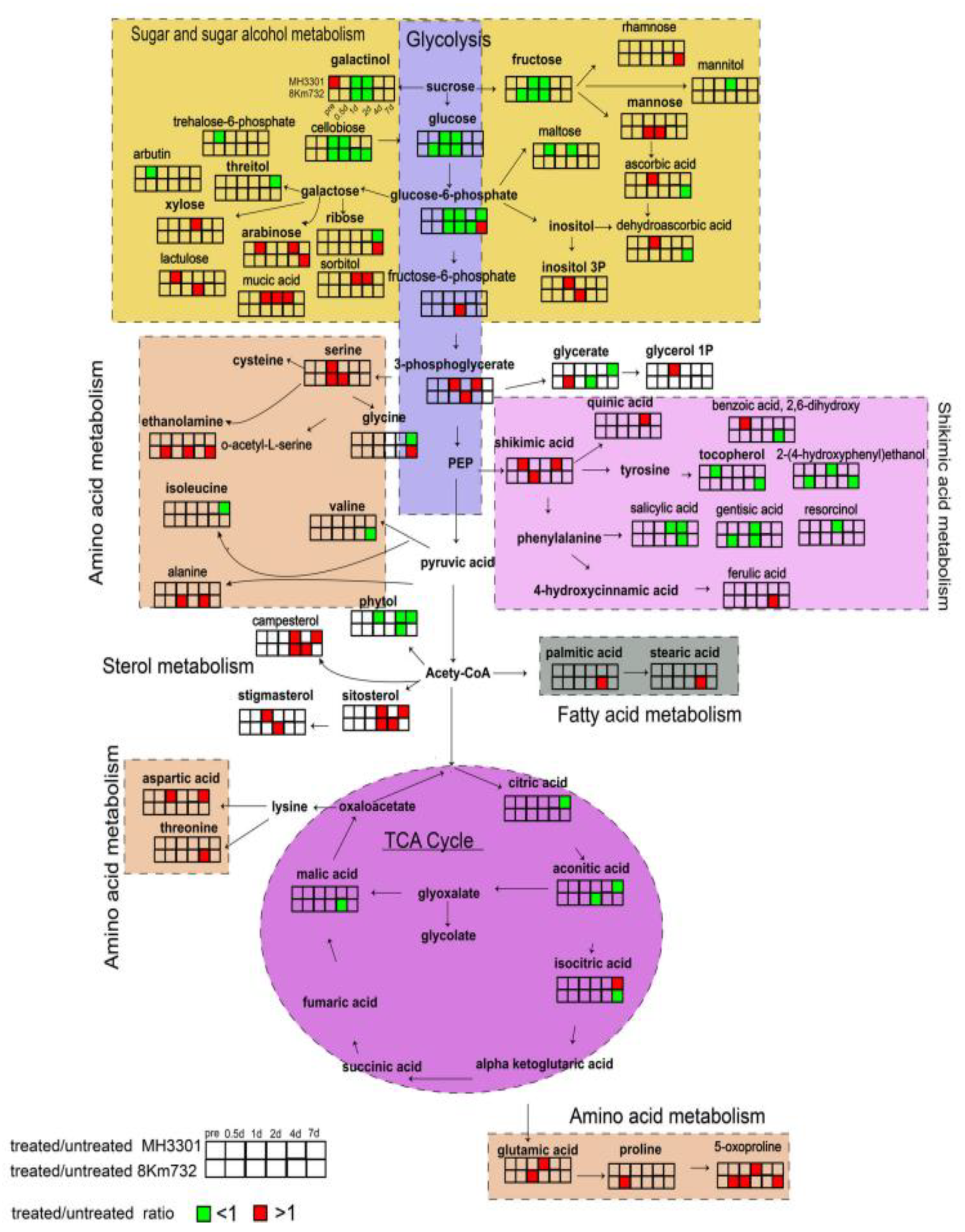 Metabolites 13 00246 g003 Metabolites 13 00246 g003