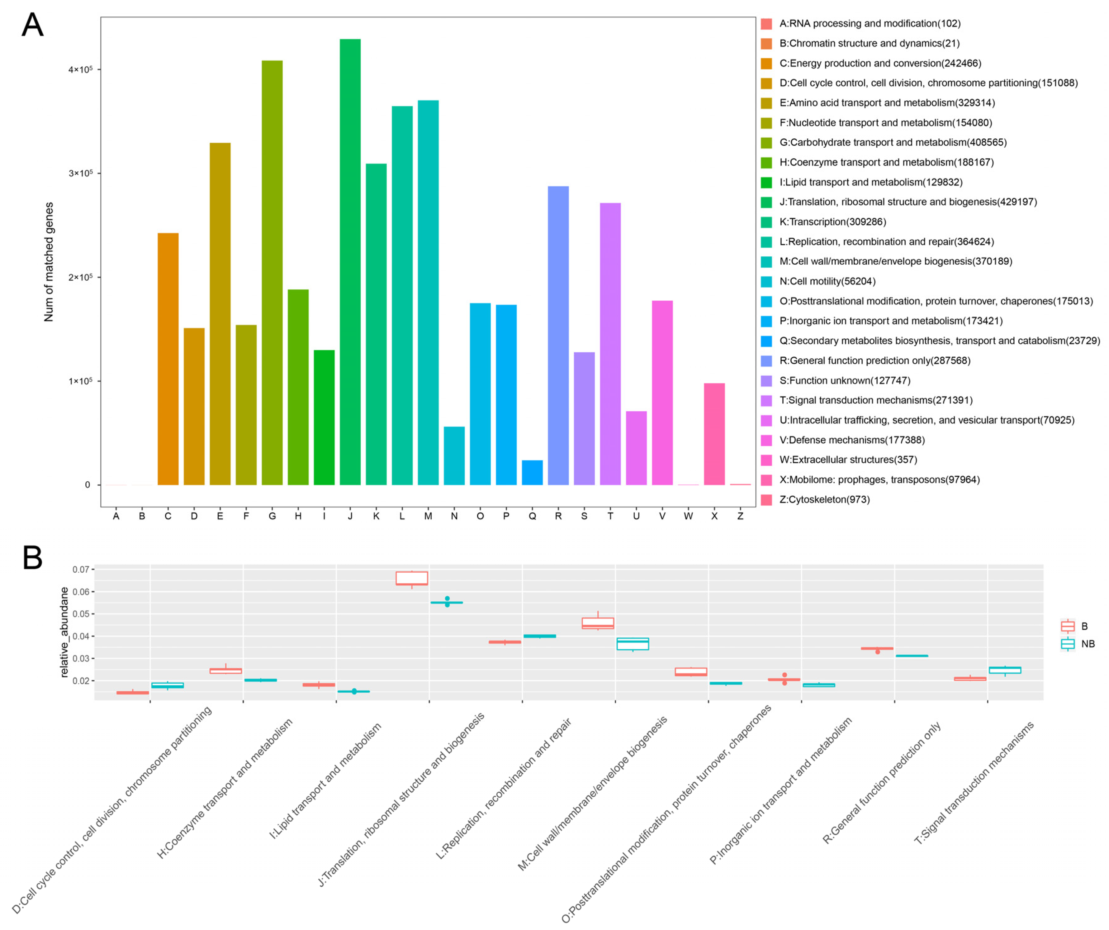 Metabolites 13 00248 g005