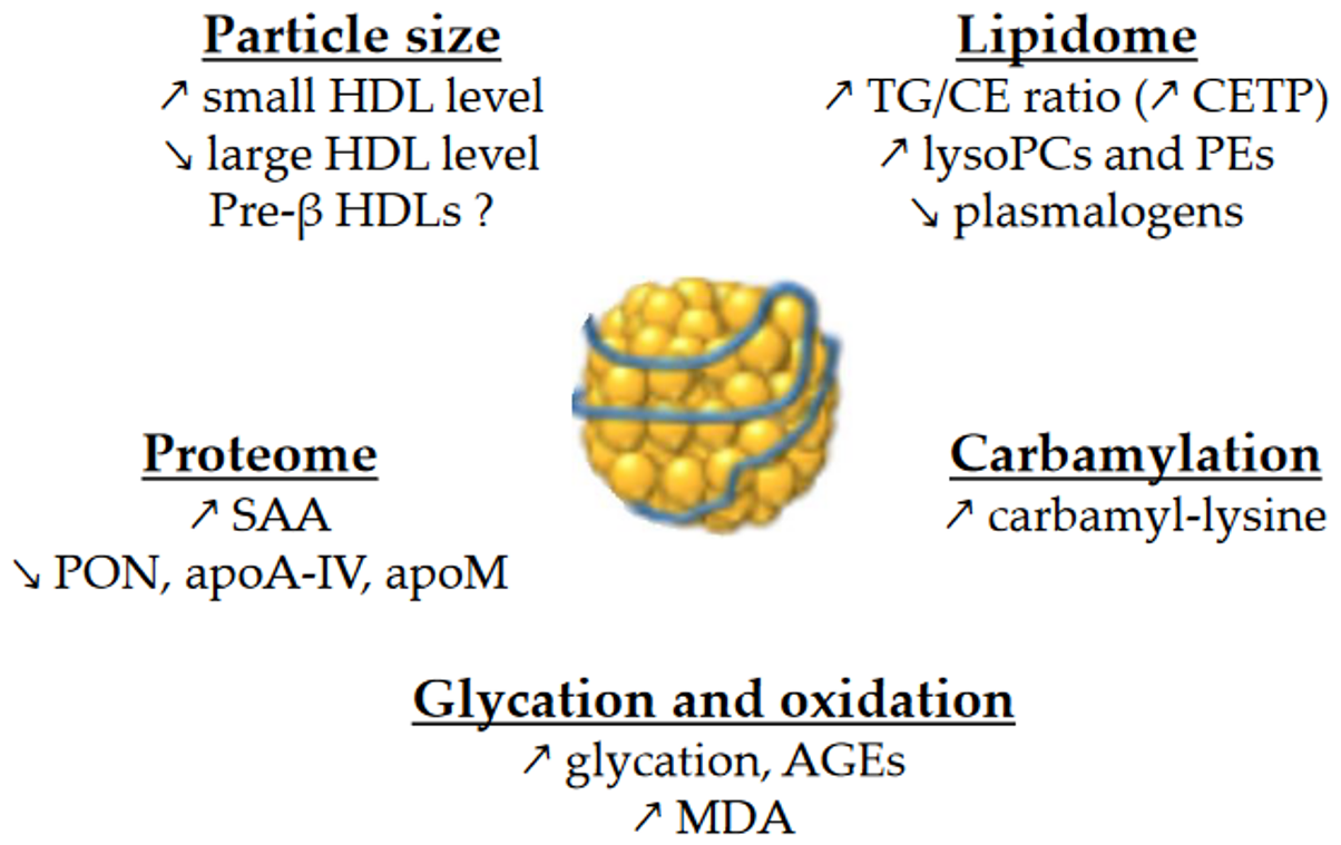 Metabolites 13 00253 g001
