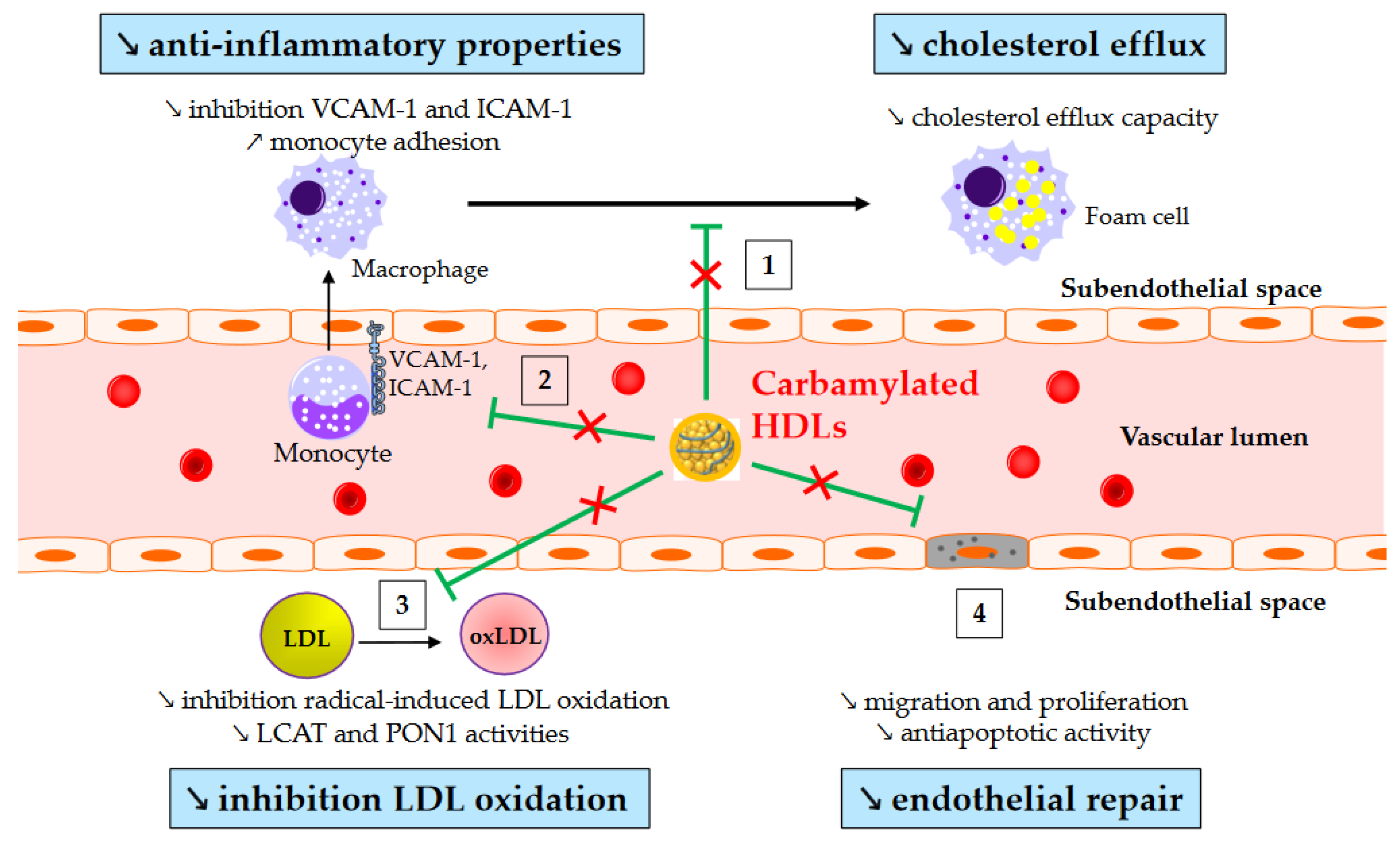 Metabolites 13 00253 g002