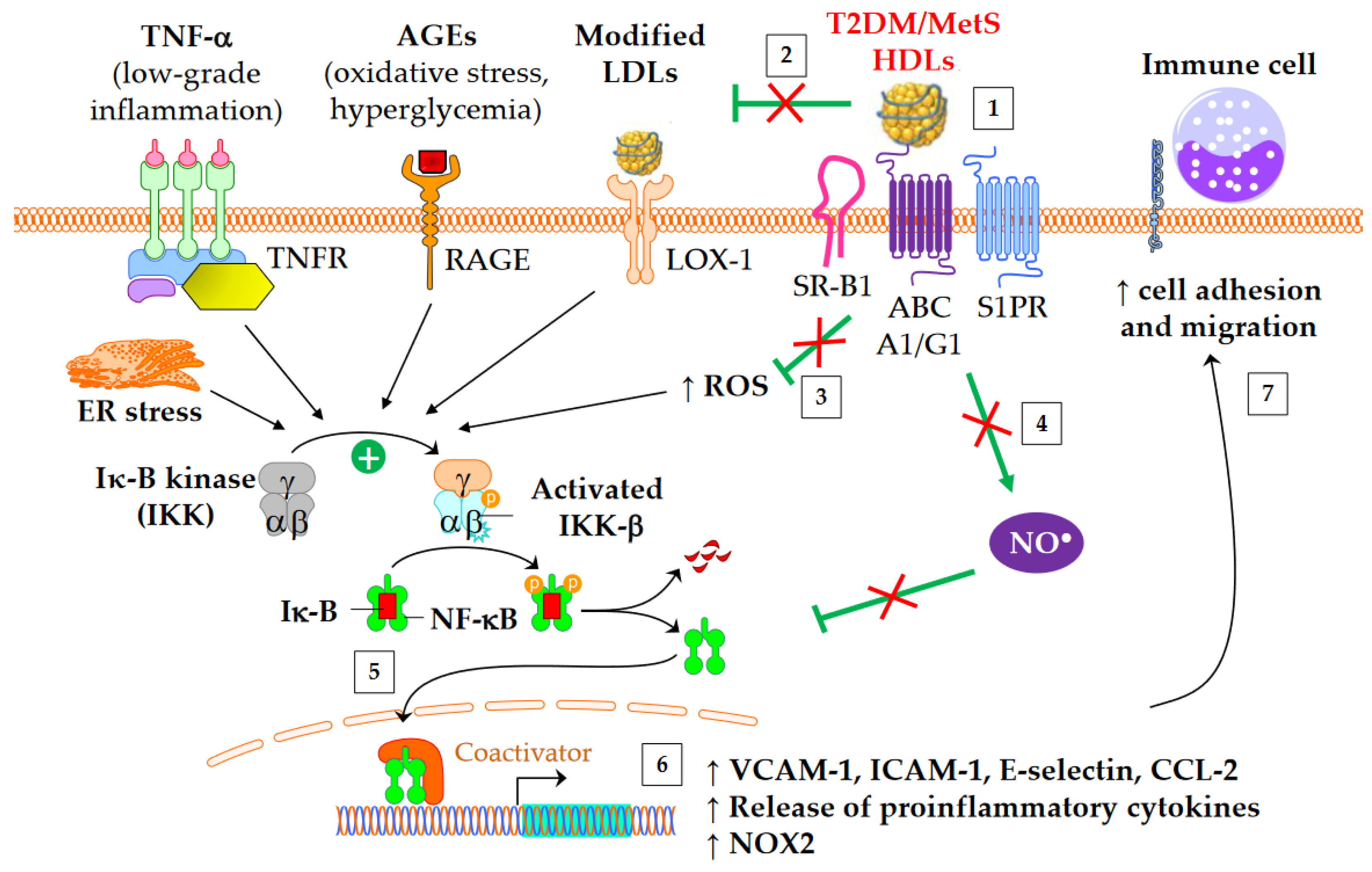 Metabolites 13 00253 g003
