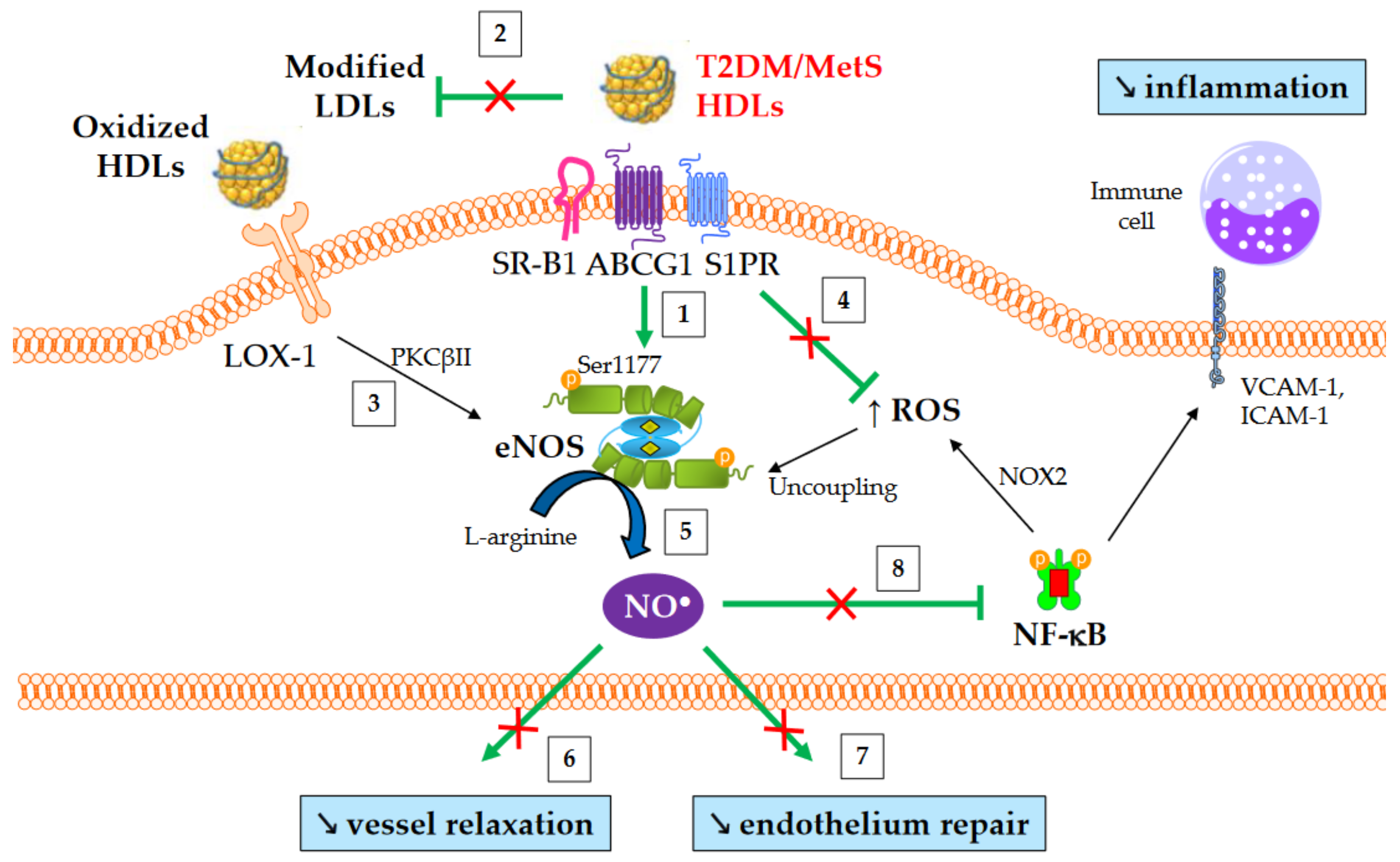 Metabolites 13 00253 g004