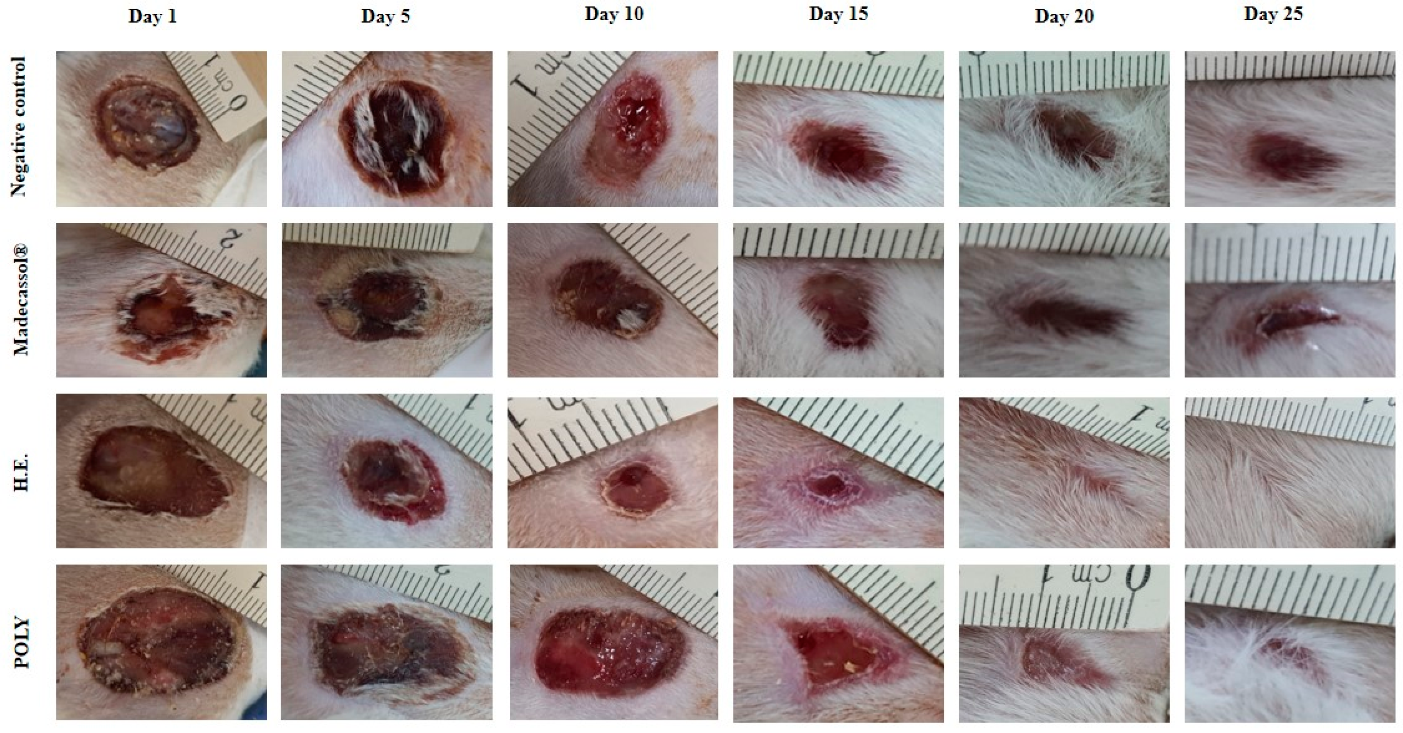 Metabolites 13 00260 g005