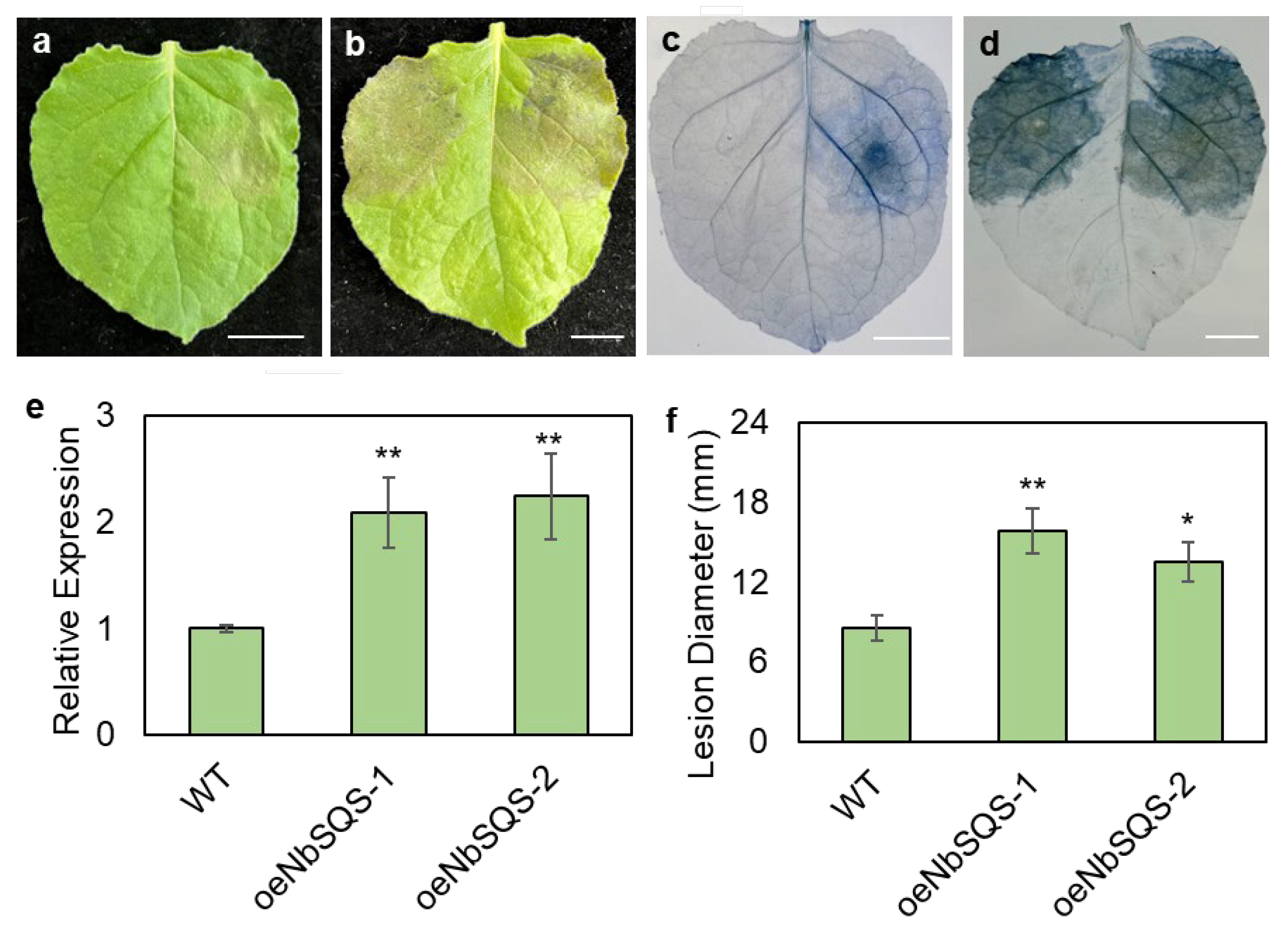 Metabolites 13 00261 g004 Metabolites 13 00261 g004