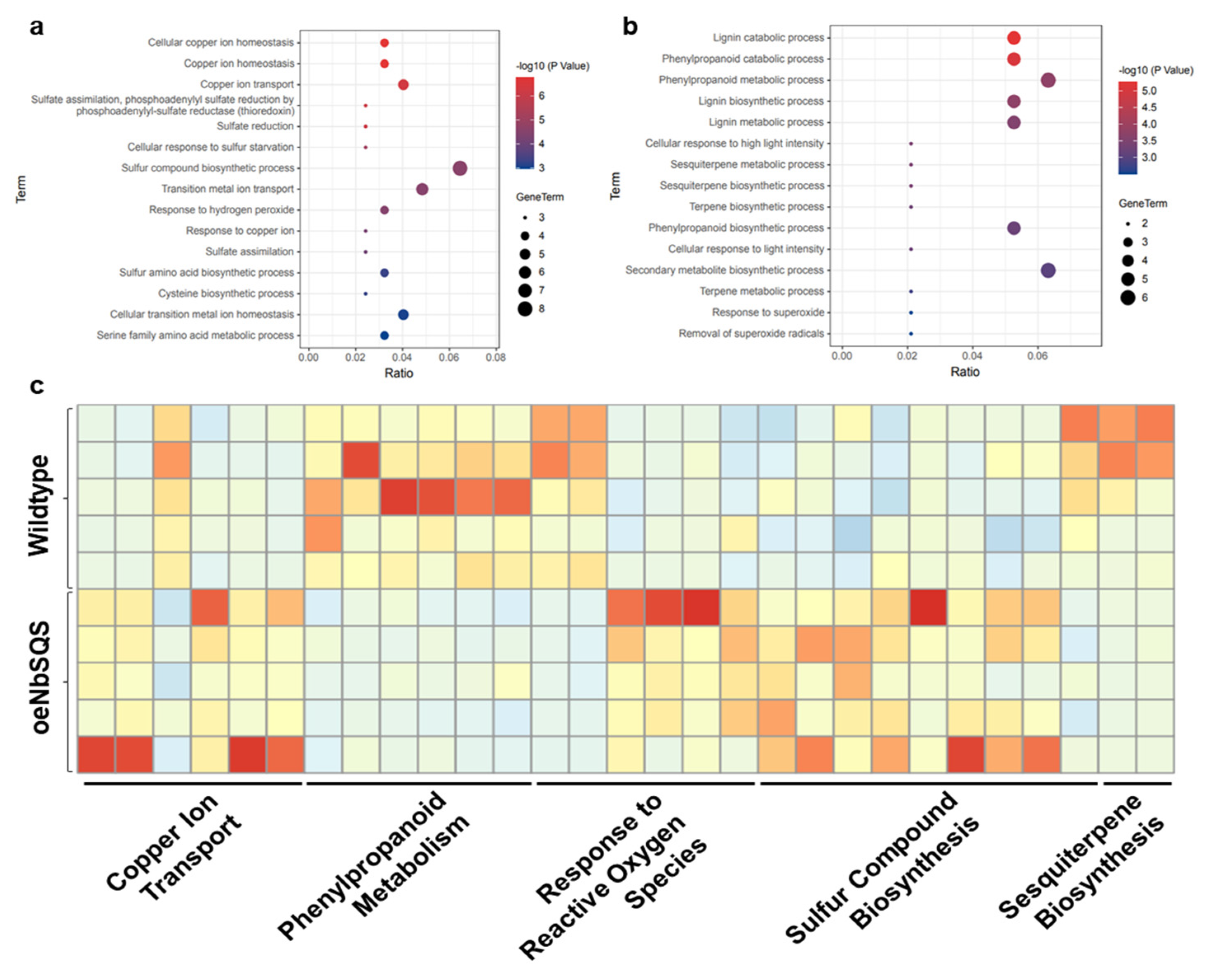 Metabolites 13 00261 g006 Metabolites 13 00261 g006