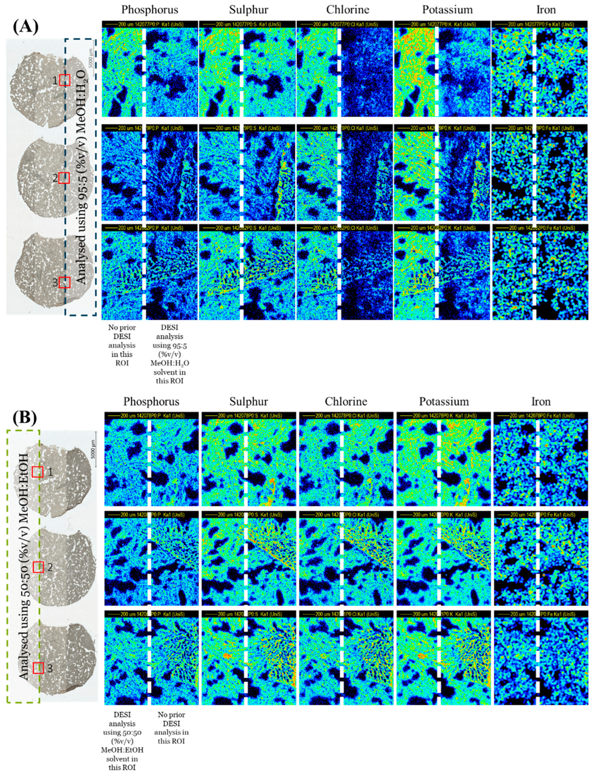 Metabolites 13 00262 g001a