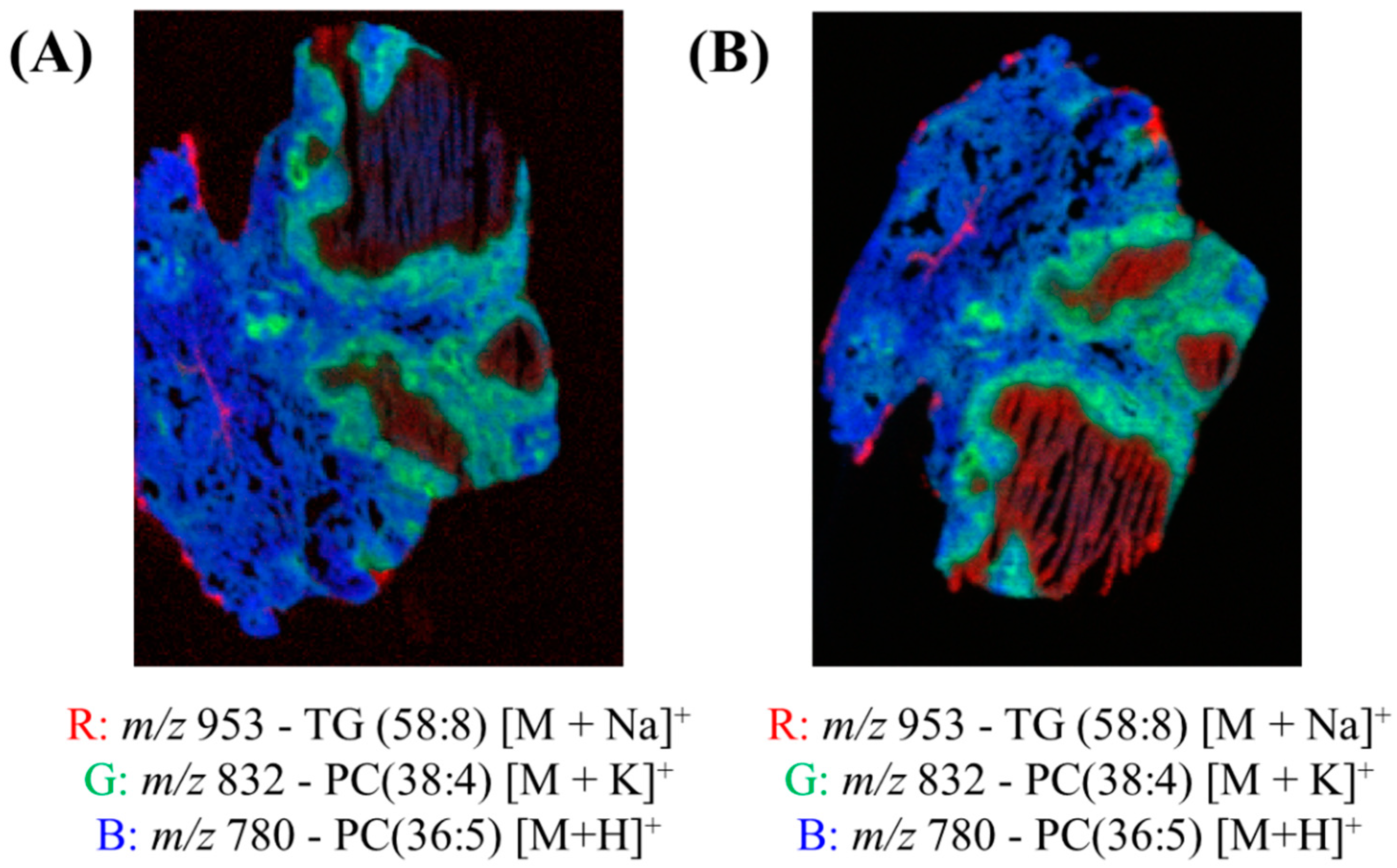 Metabolites 13 00262 g004