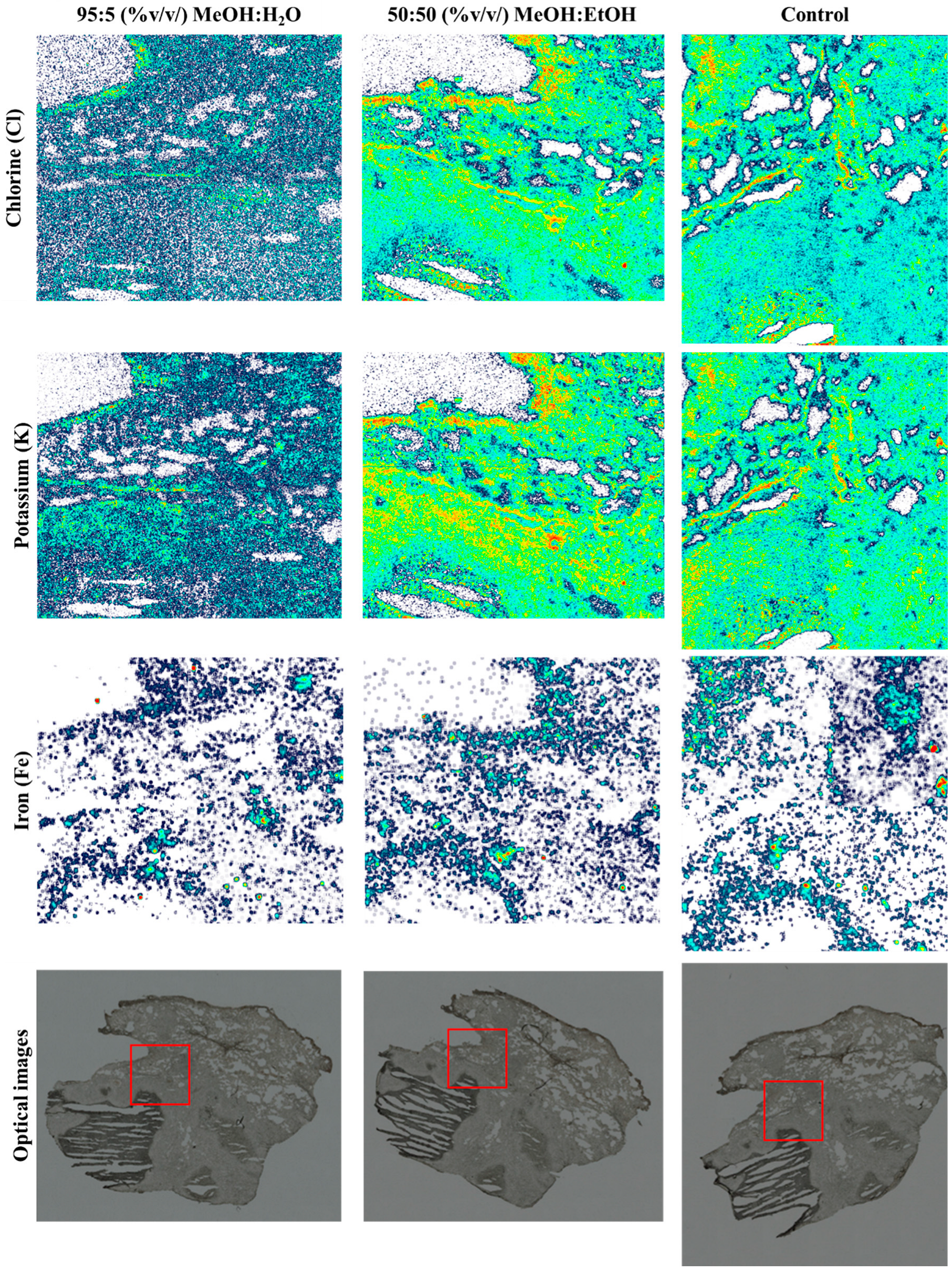 Metabolites 13 00262 g005
