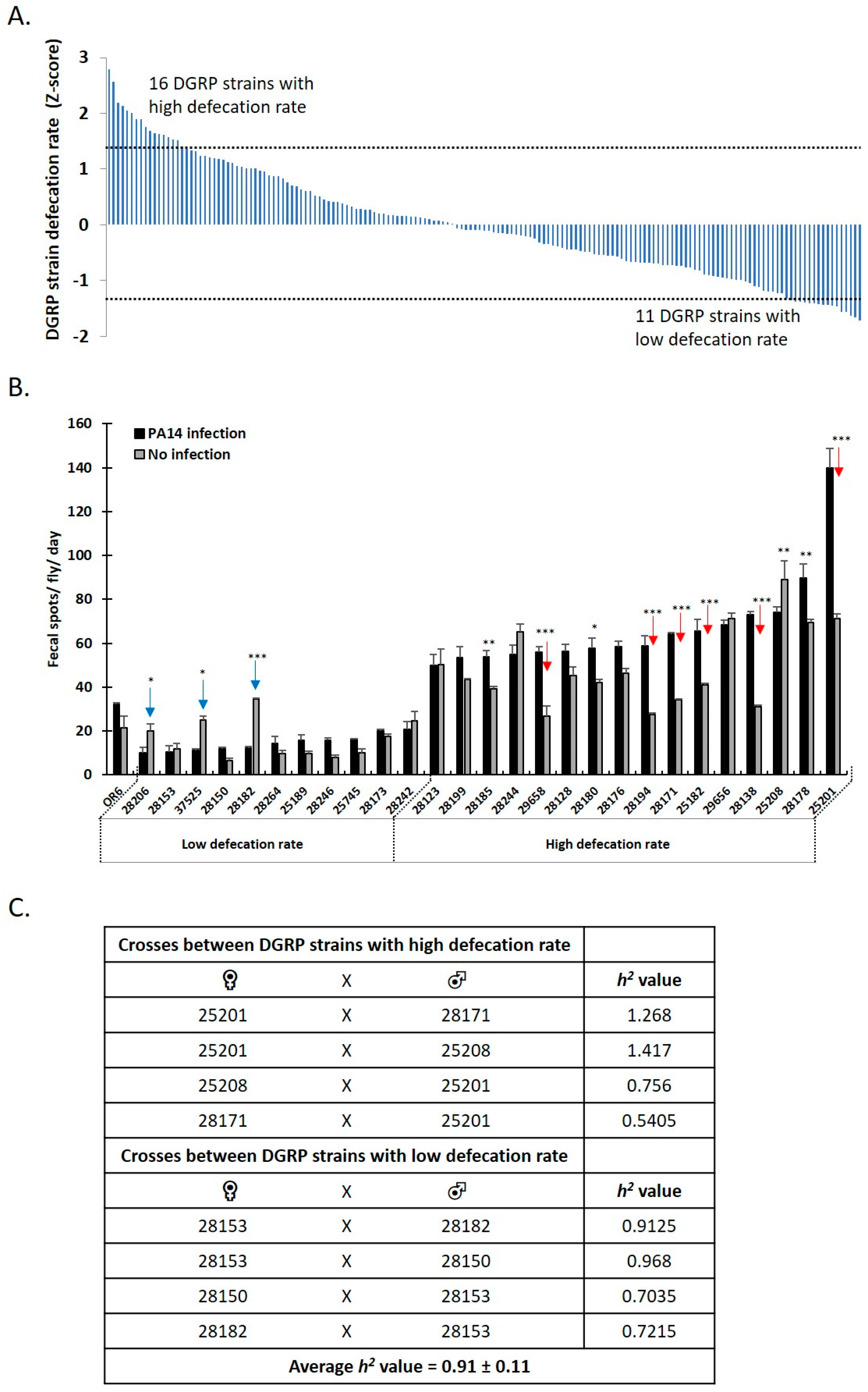 Metabolites 13 00264 g003 Metabolites 13 00264 g003
