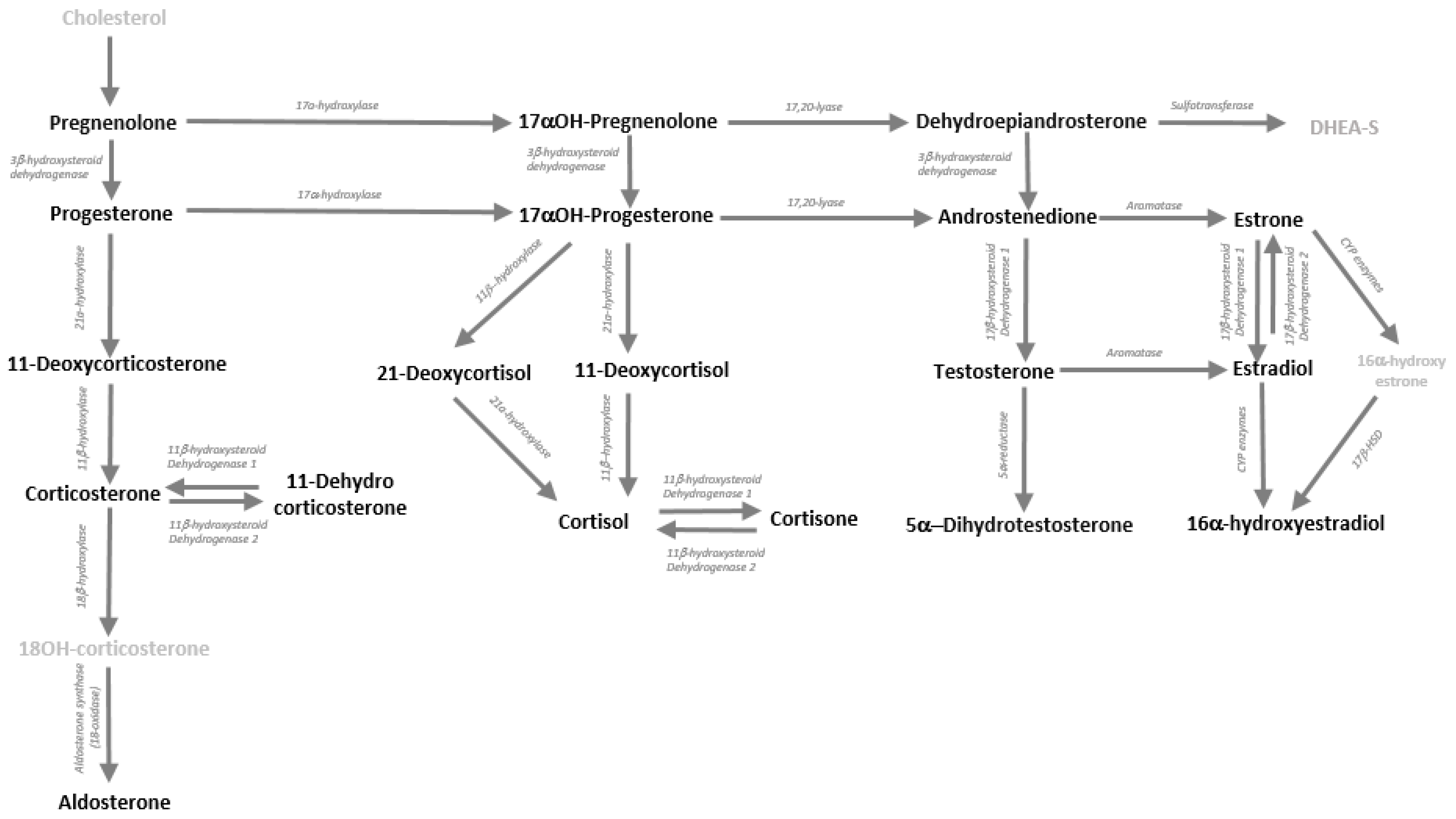 Metabolites 13 00265 g001 Metabolites 13 00265 g001
