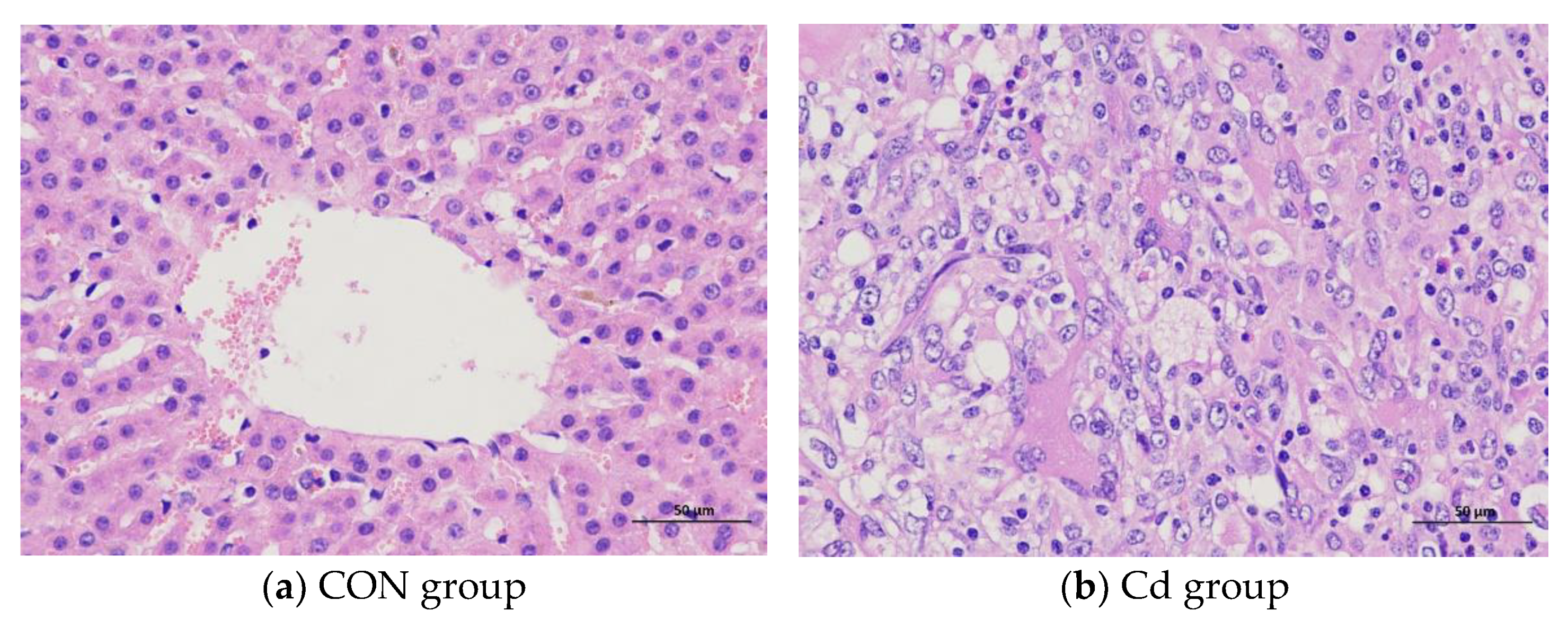 Metabolites 13 00268 g001 Metabolites 13 00268 g001