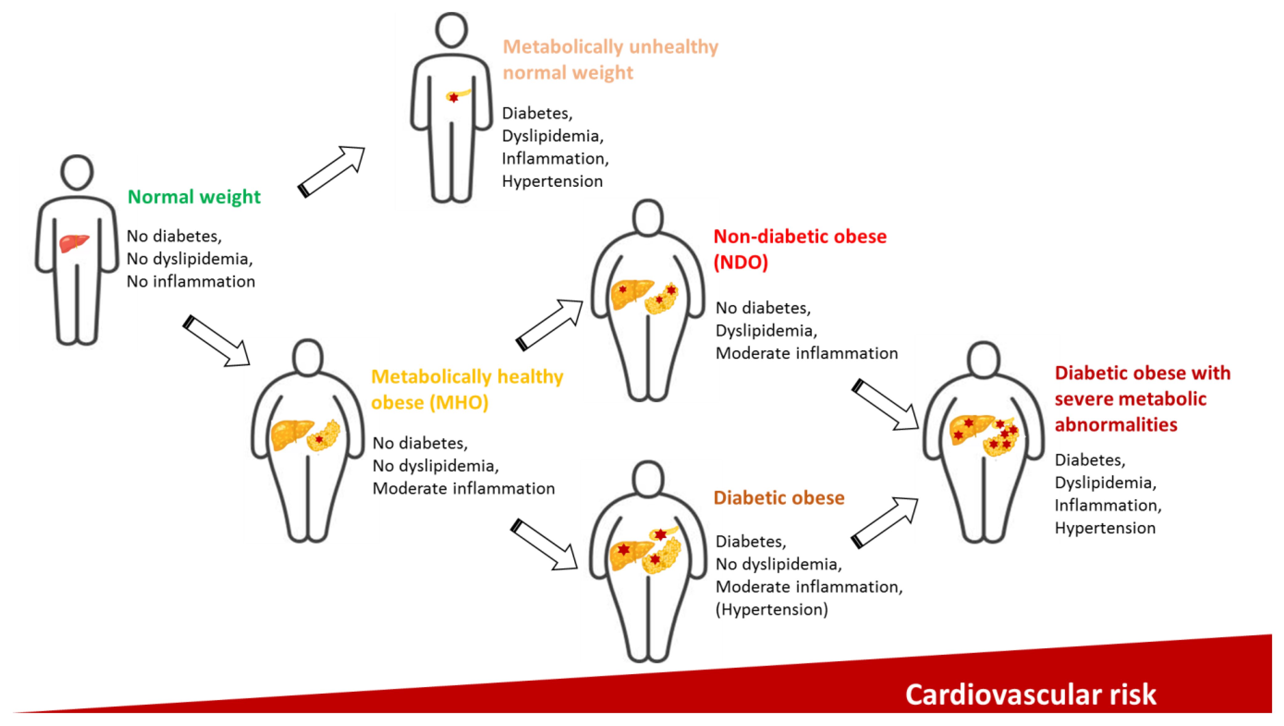 Metabolites 13 00270 g002