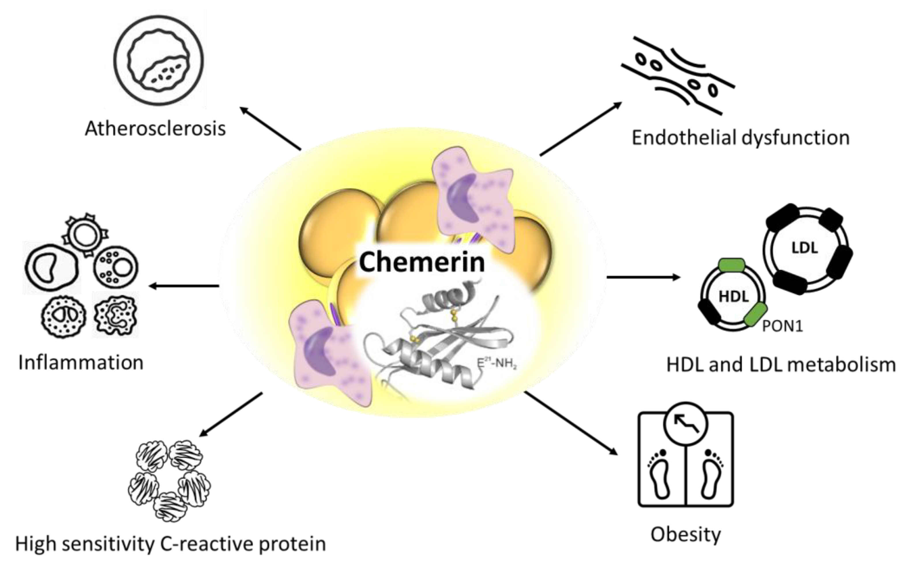 Metabolites 13 00270 g003