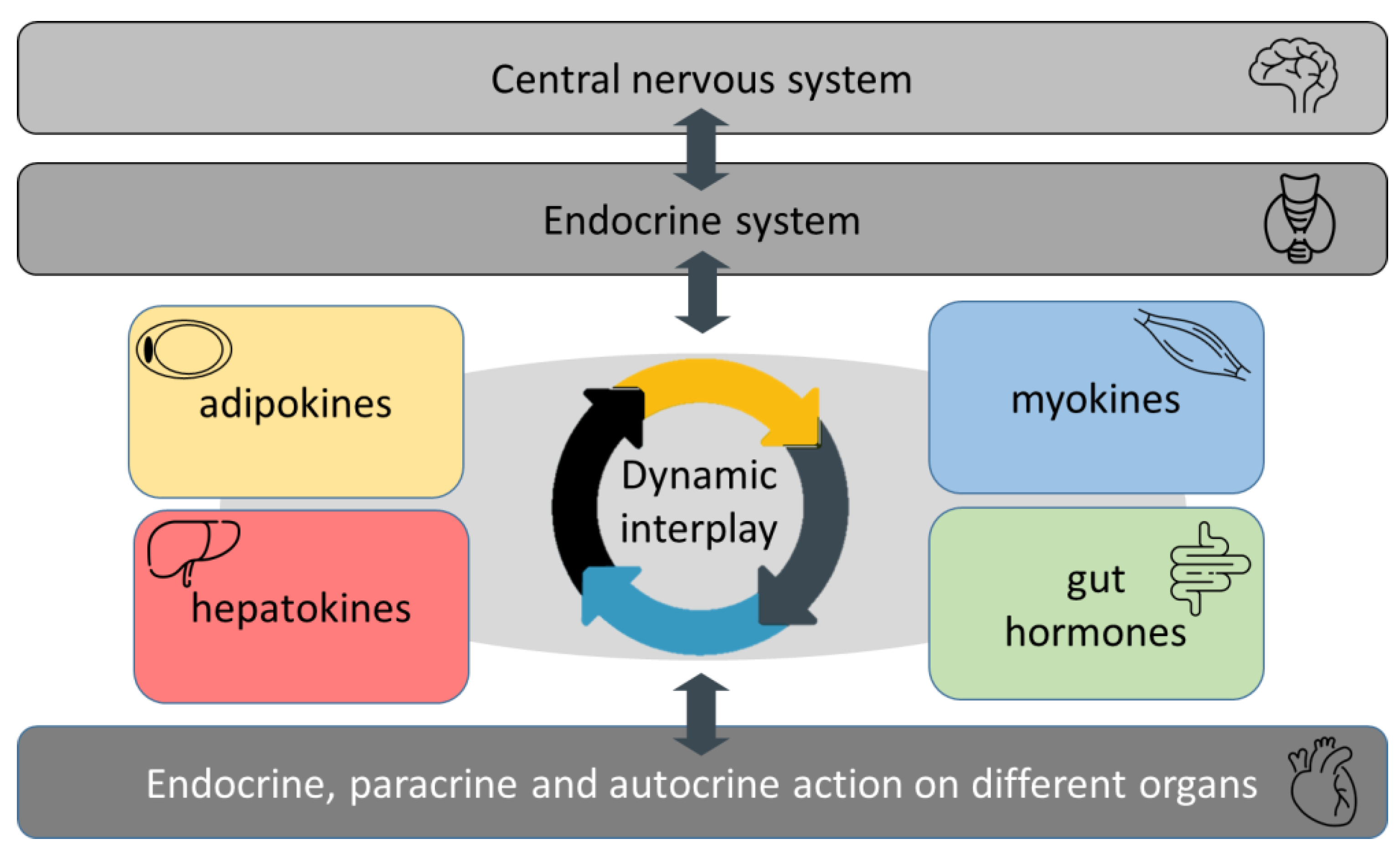 Metabolites 13 00270 g005