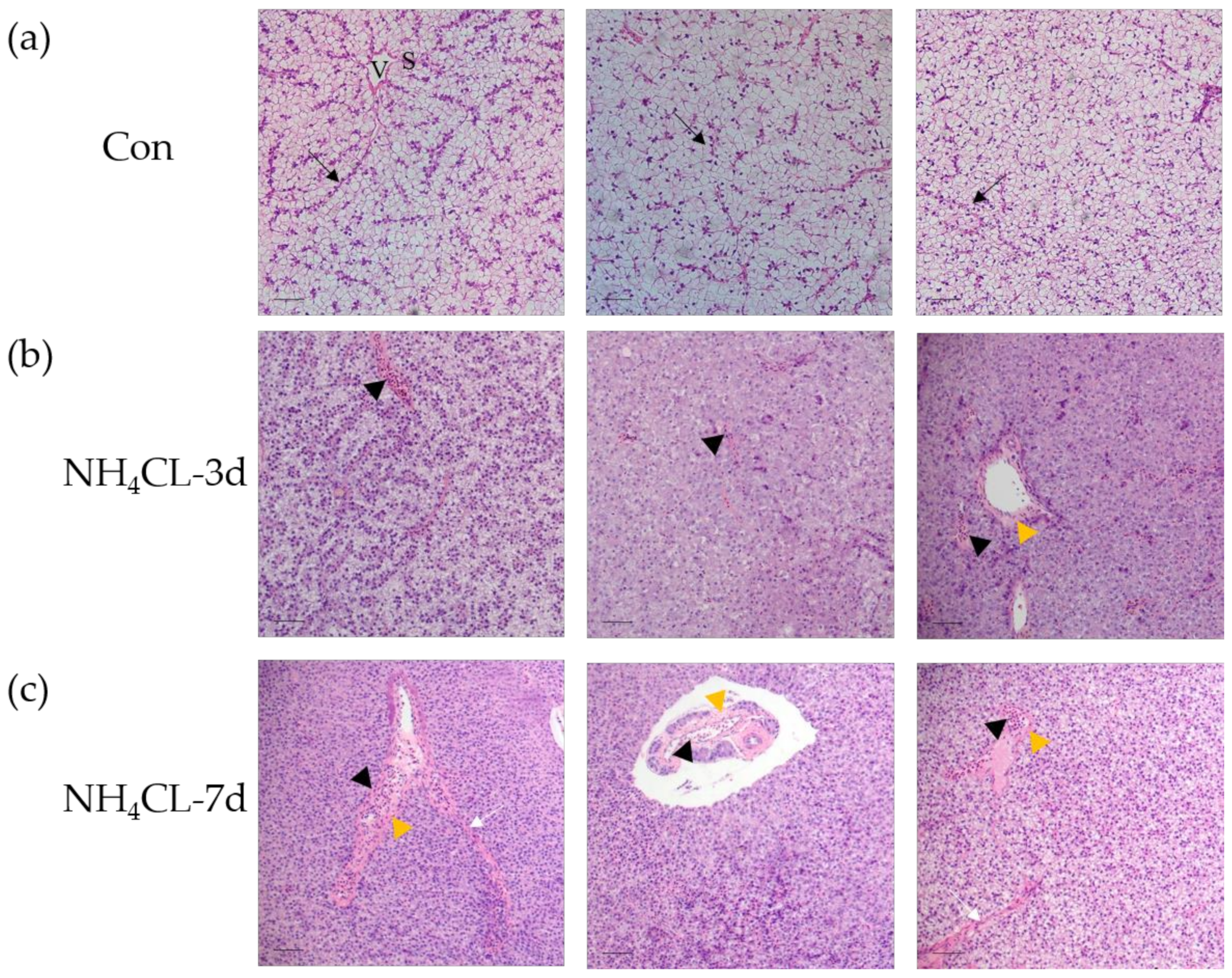 Metabolites 13 00274 g001