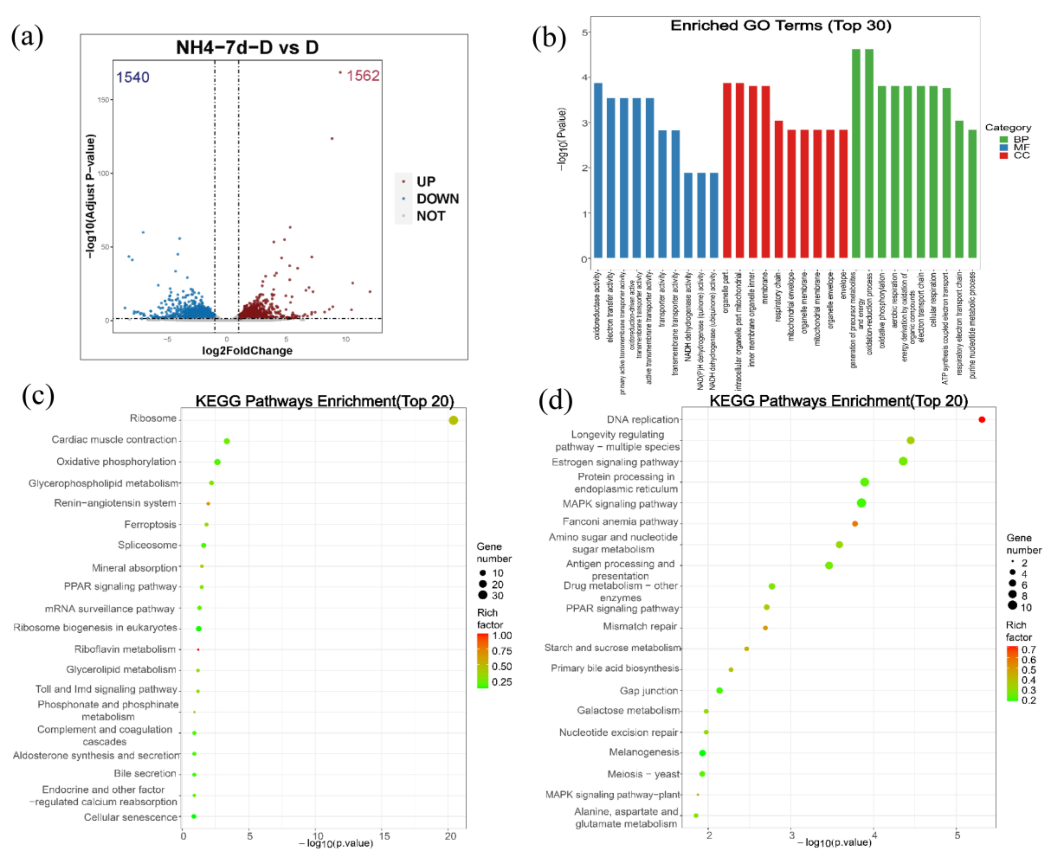 Metabolites 13 00274 g007