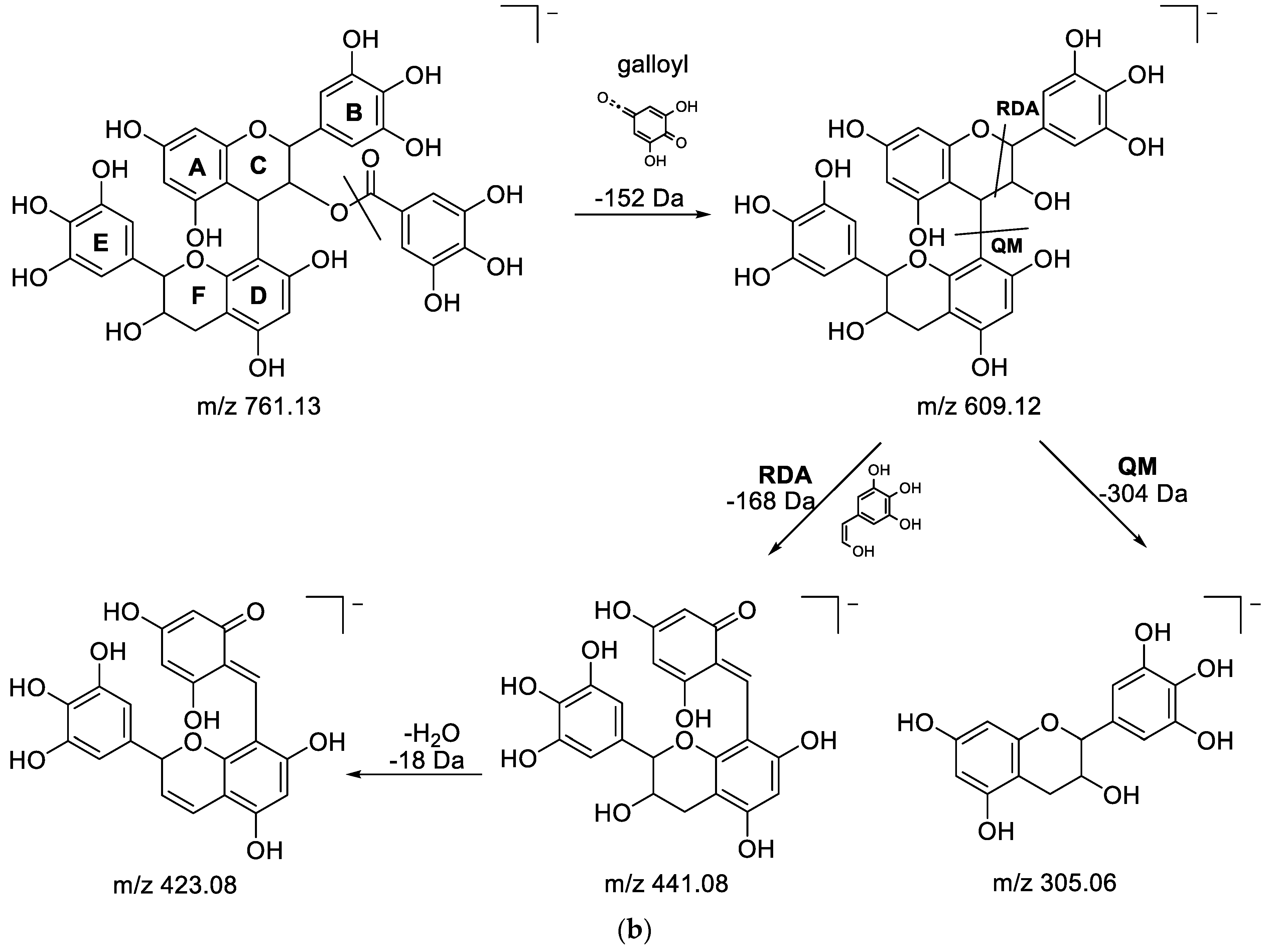 Metabolites 13 00275 g004b