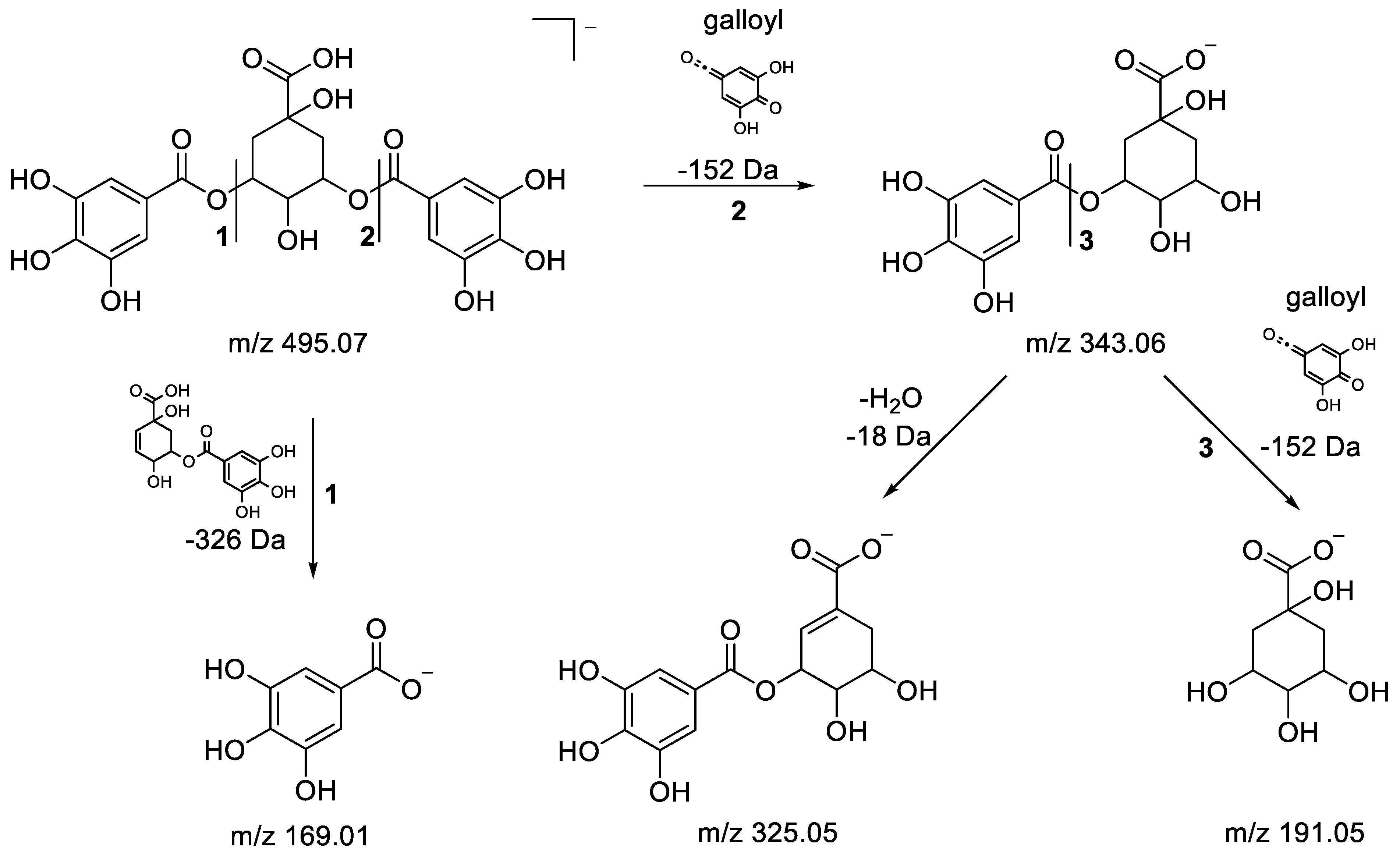 Metabolites 13 00275 g005