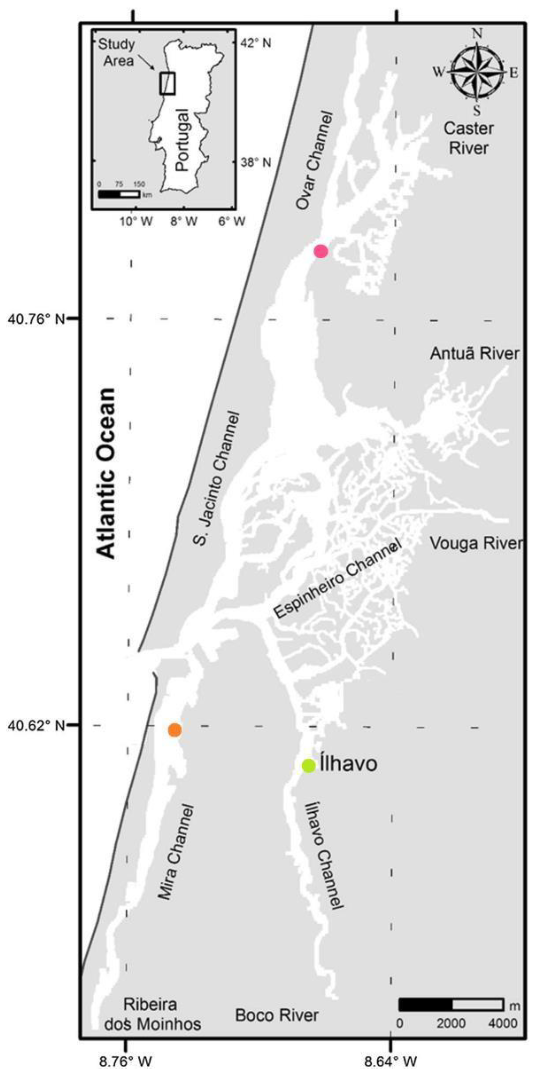 Metabolites 13 00280 g001