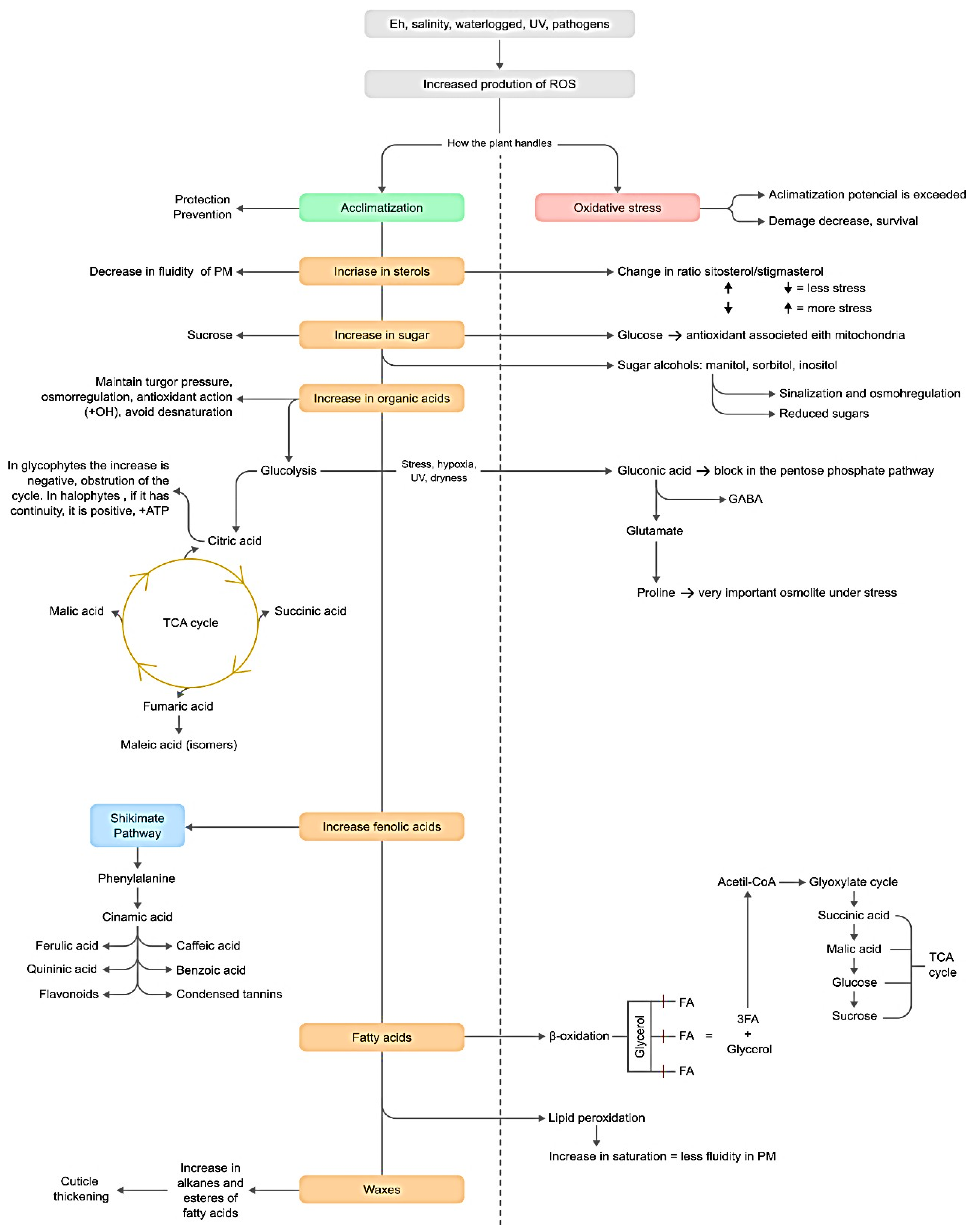 Metabolites 13 00280 g012