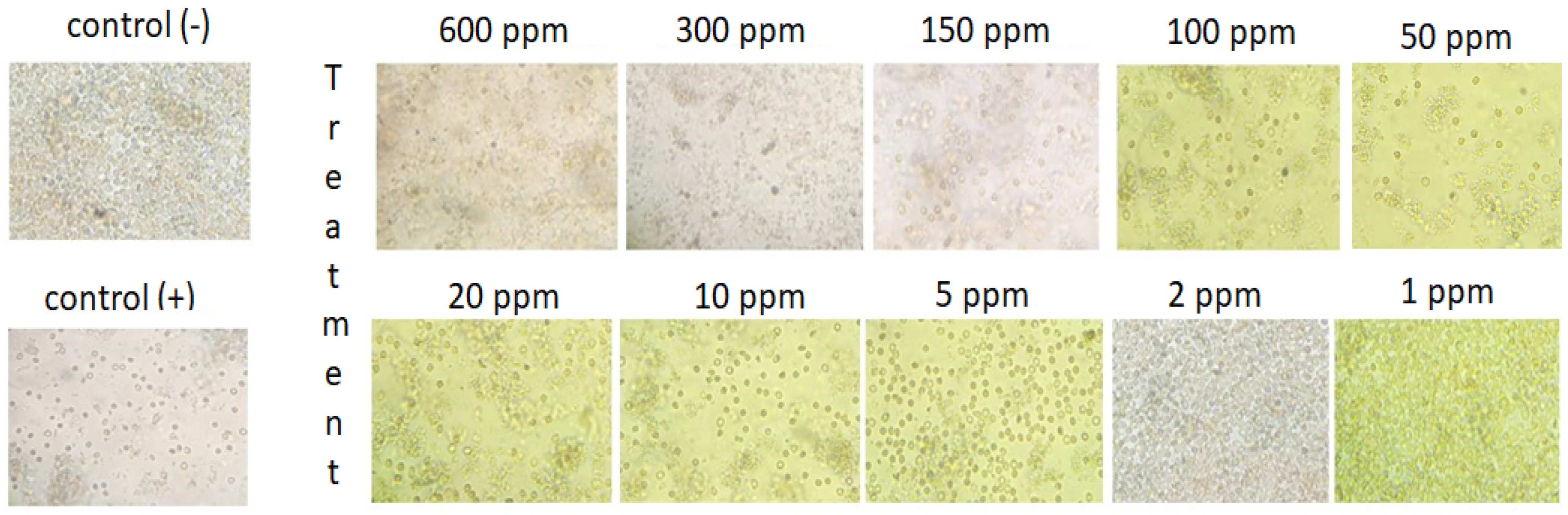 Metabolites 13 00281 g002 Metabolites 13 00281 g002