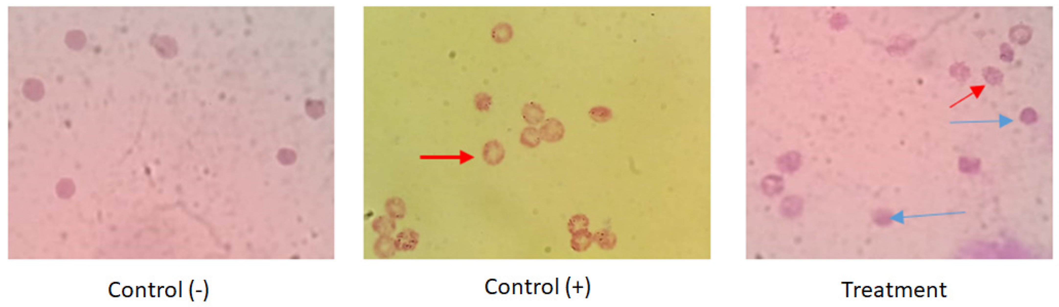 Metabolites 13 00281 g003 Metabolites 13 00281 g003