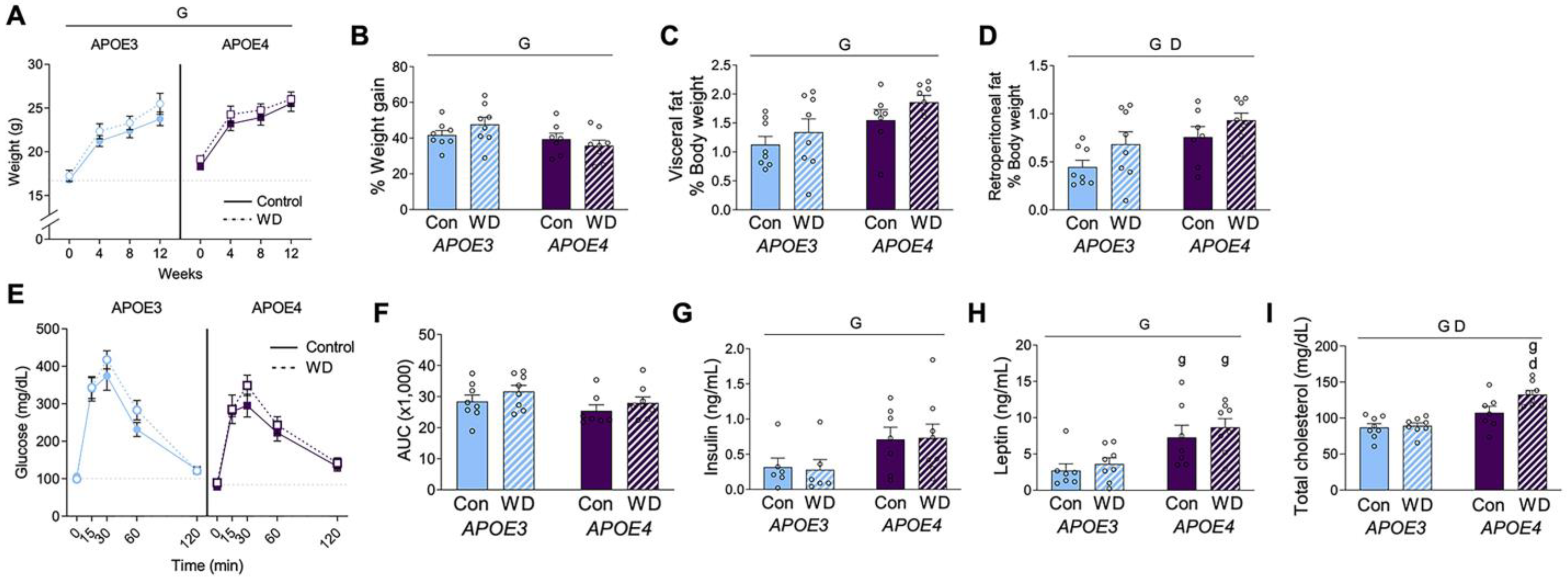 Metabolites 13 00287 g001