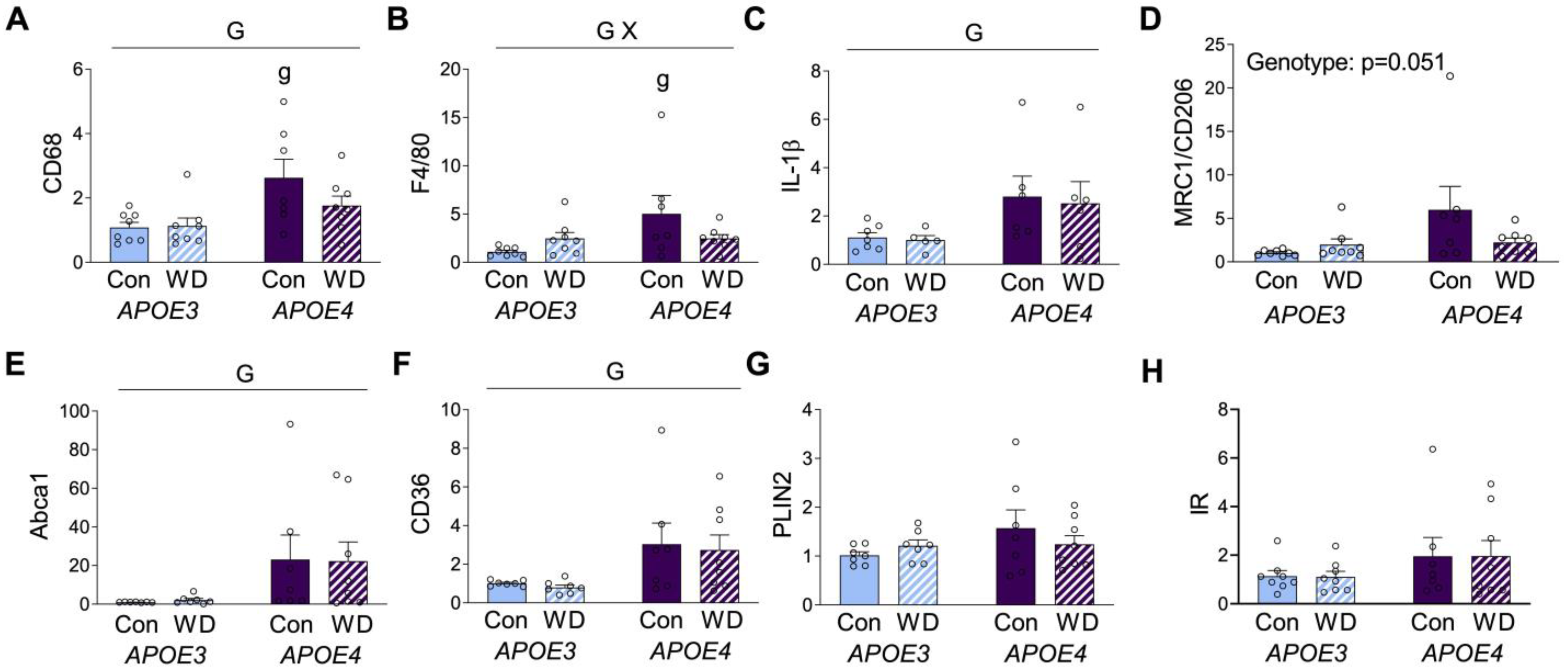 Metabolites 13 00287 g003
