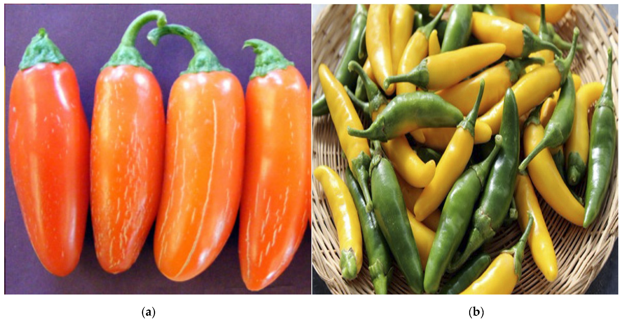 Metabolites 13 00288 g001 Metabolites 13 00288 g001