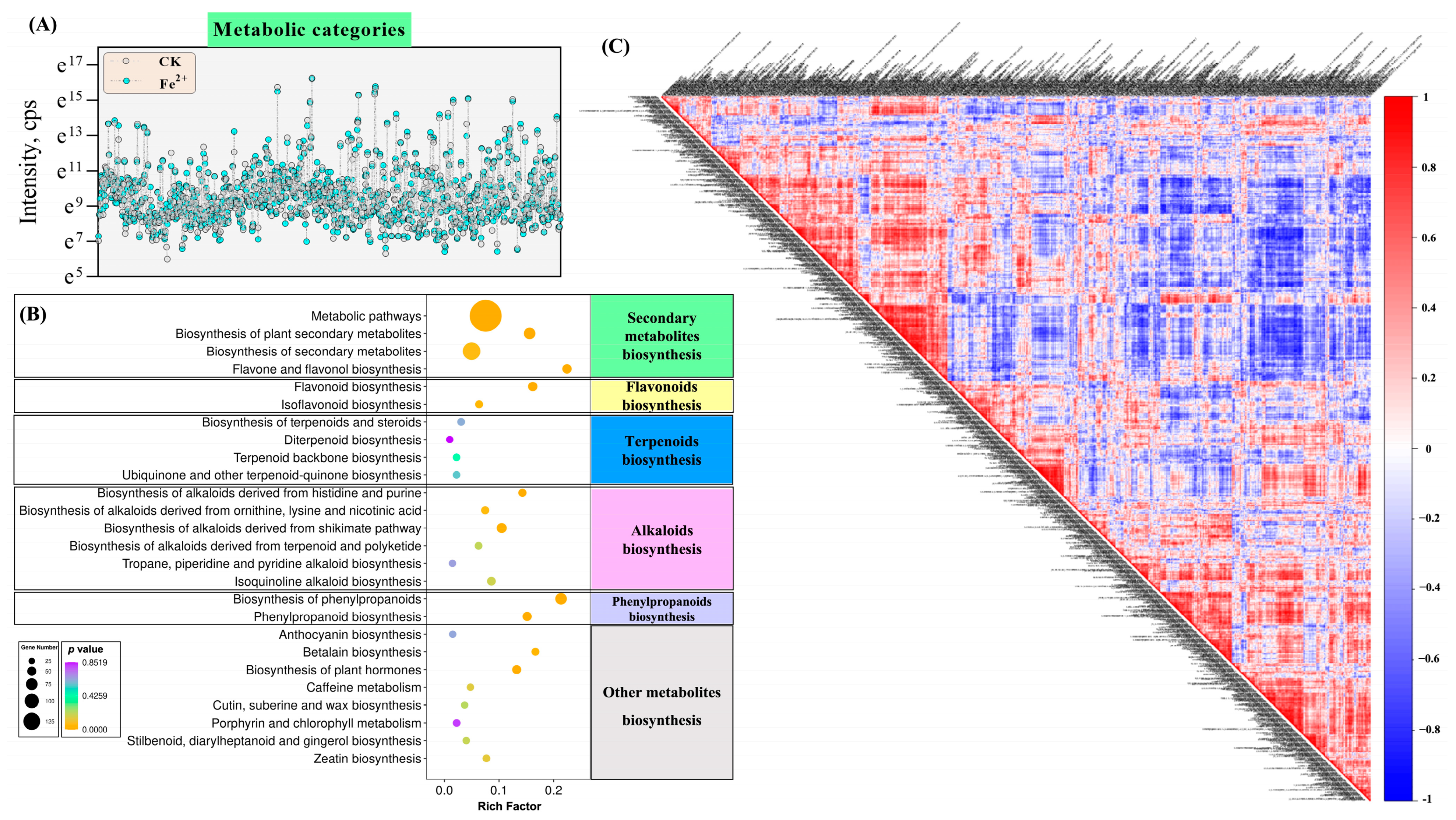 Metabolites 13 00294 g007