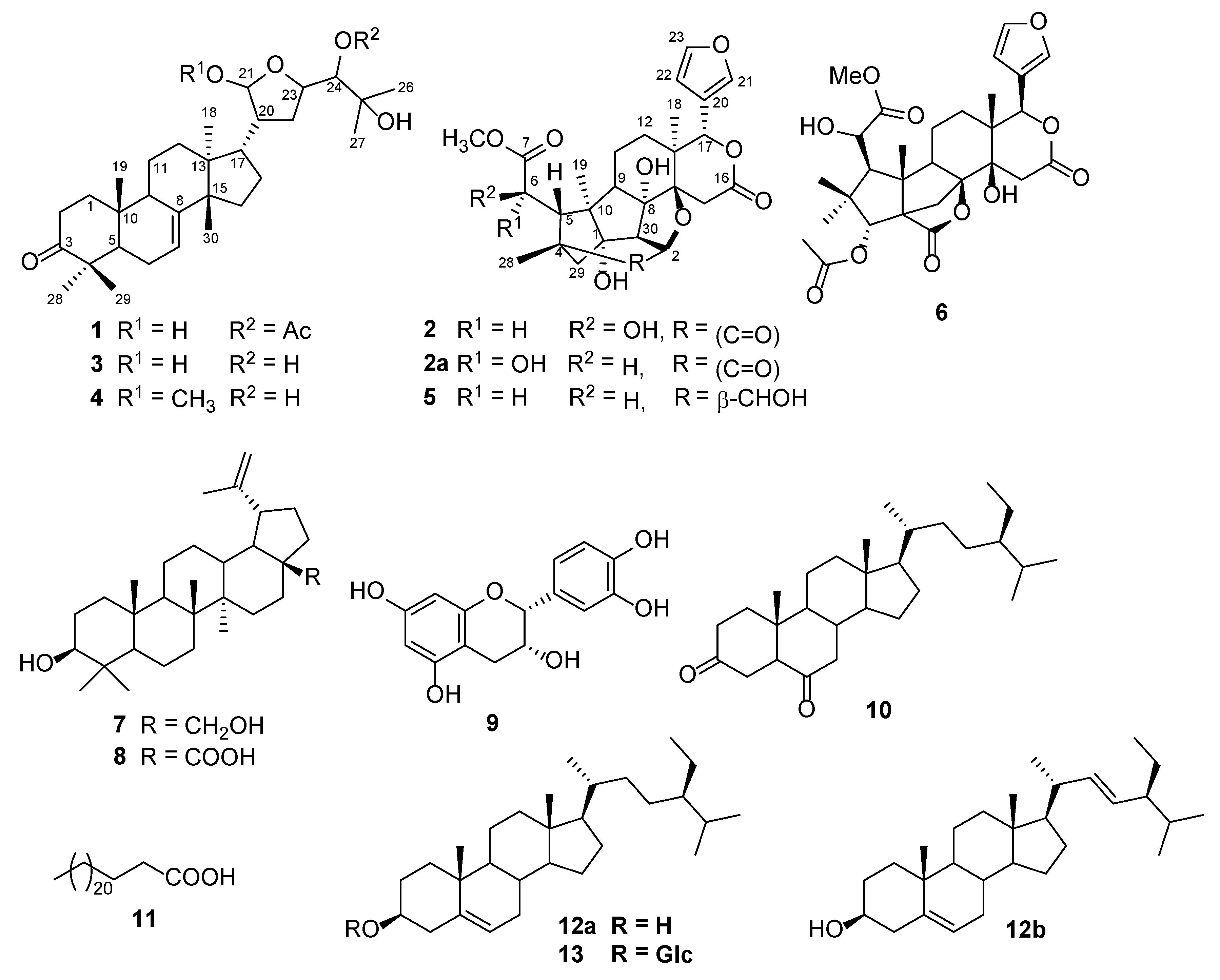 Metabolites 13 00298 g001