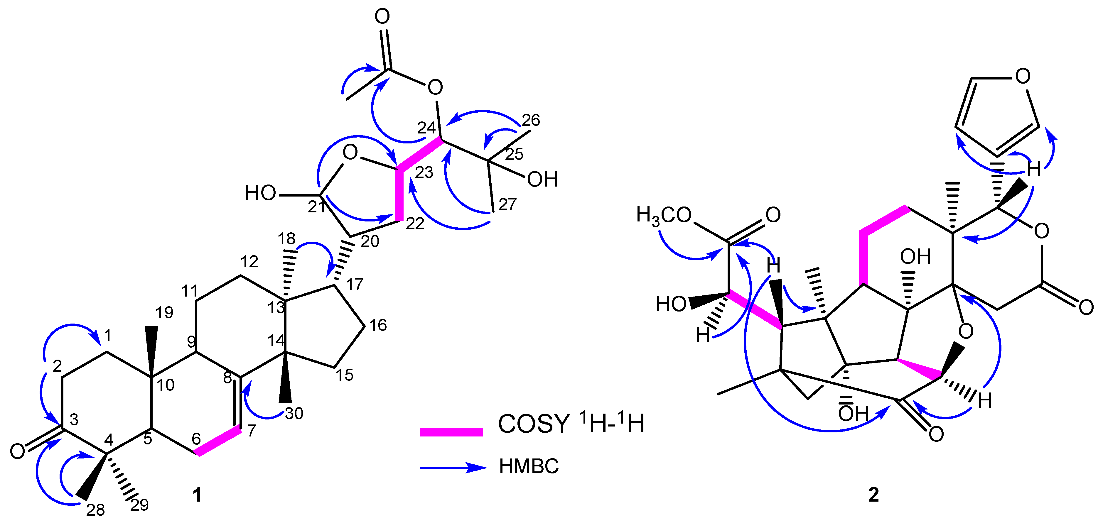 Metabolites 13 00298 g002