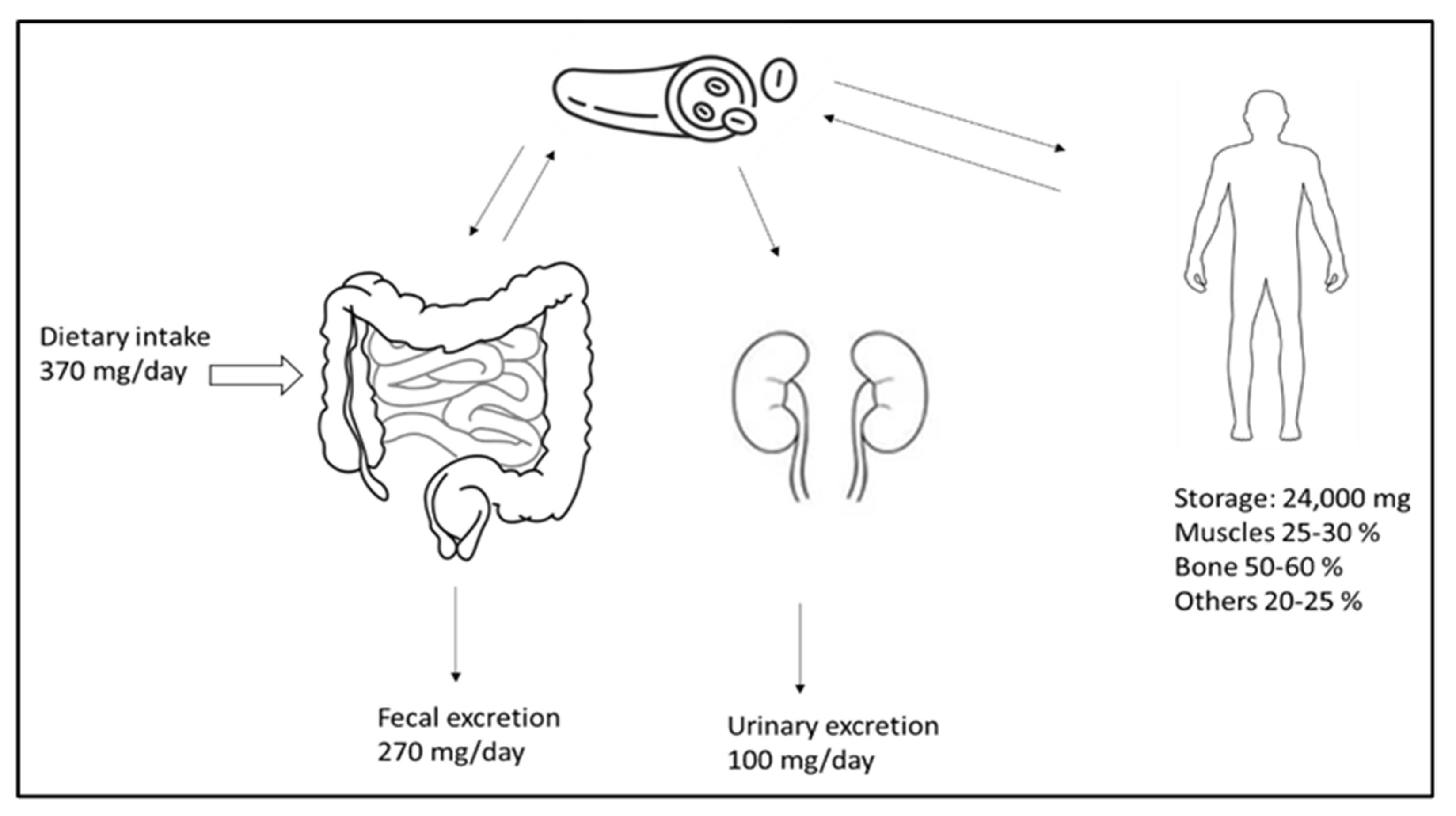Metabolites 13 00306 g001